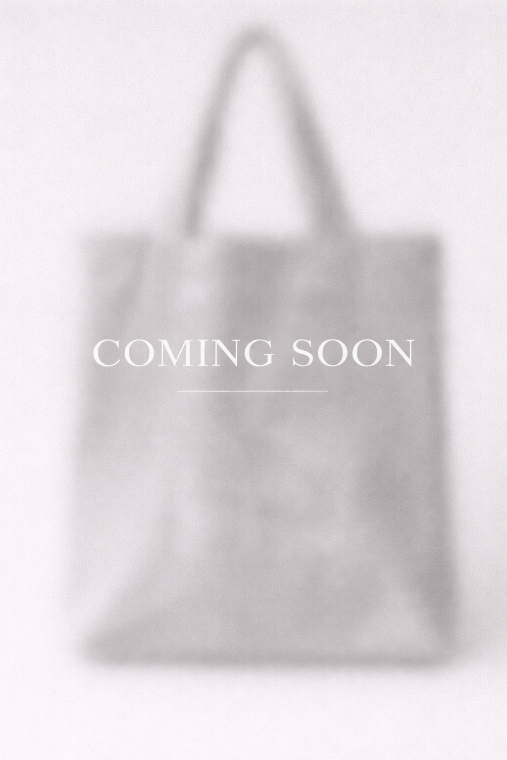 Collection 01 — Tote (Antique Silver)