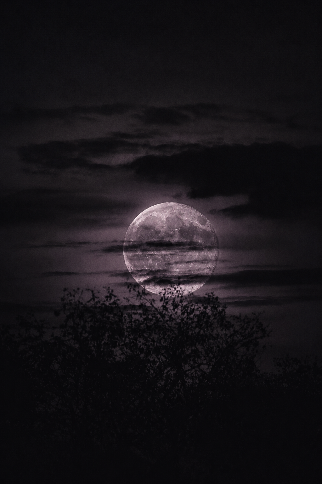 A full moon partially obscured by clouds, seen through the silhouette of tree branches at night.