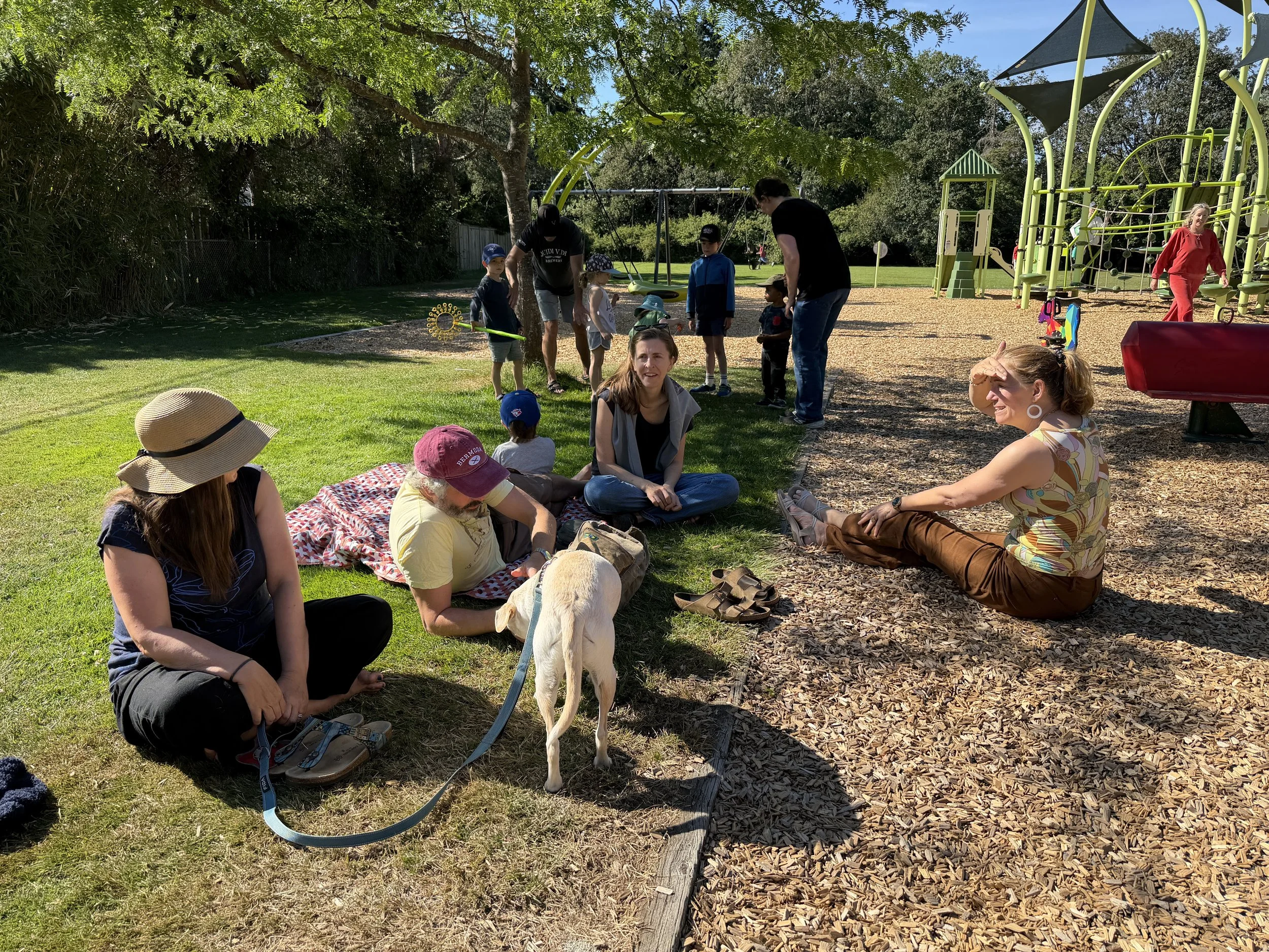 people in a park on a sunny day