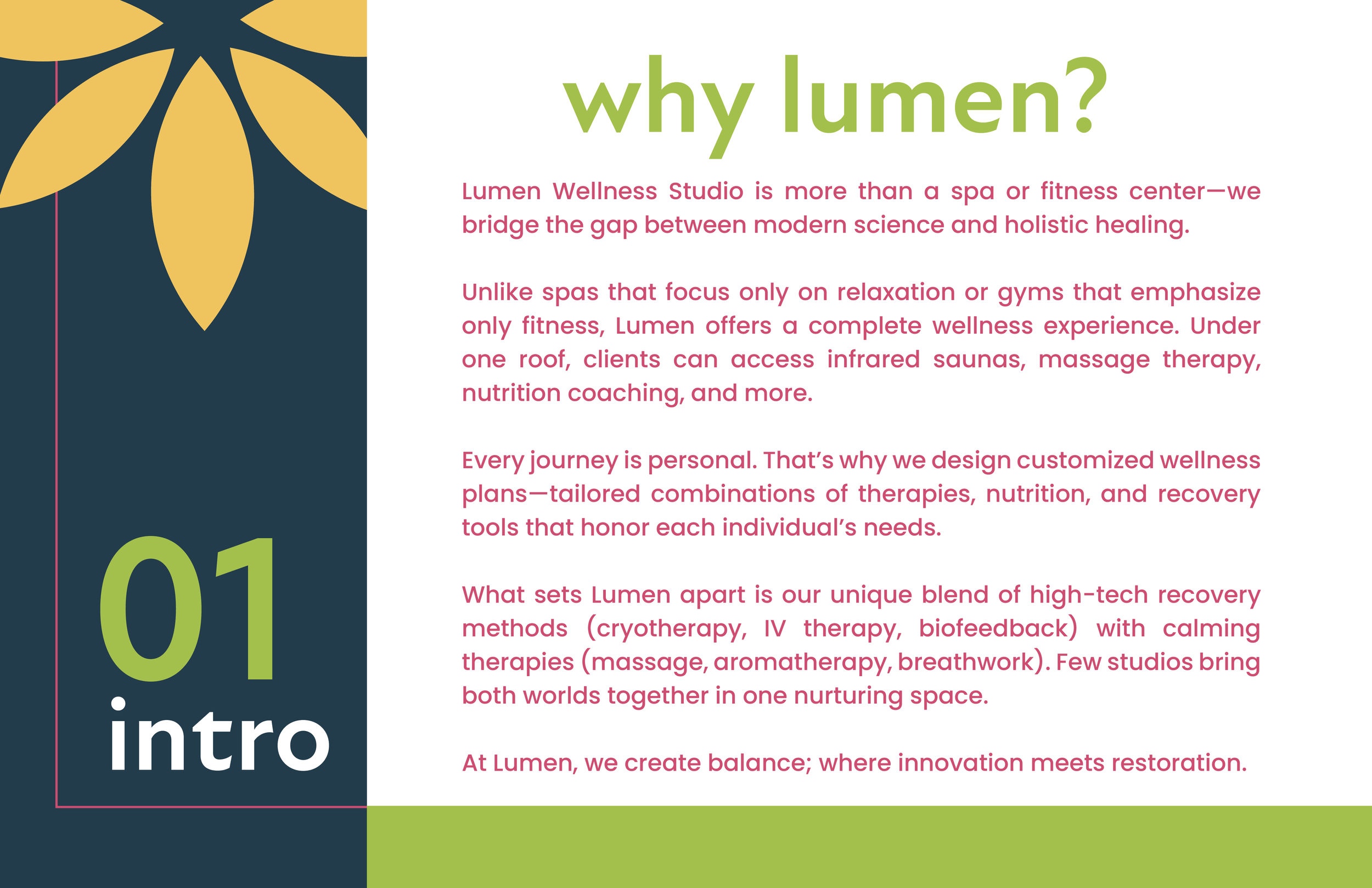 Portfolio lumen-02.png