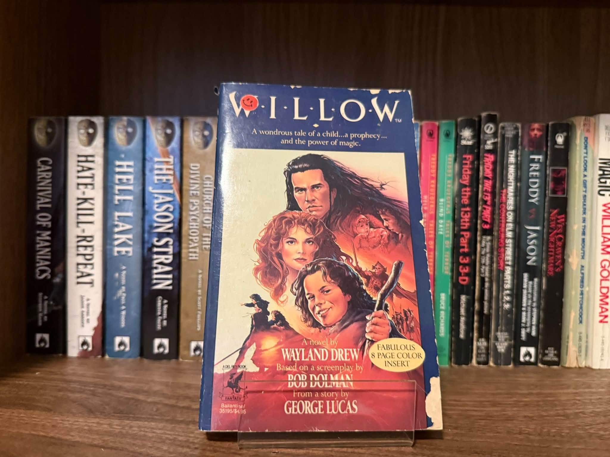 Willow - Wayland Drew (novelization)