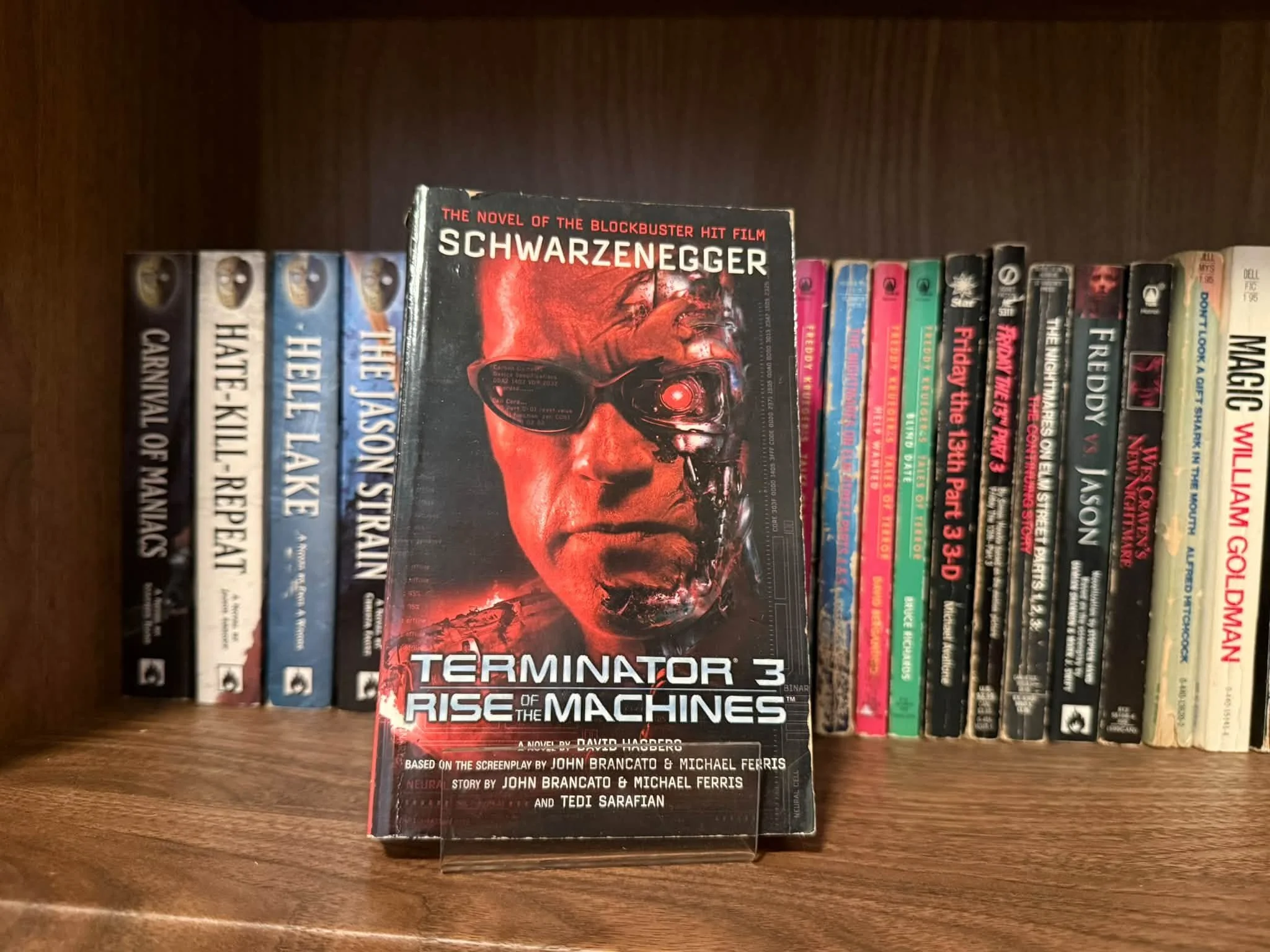 Terminator 3 - David Hagberg (novelization)