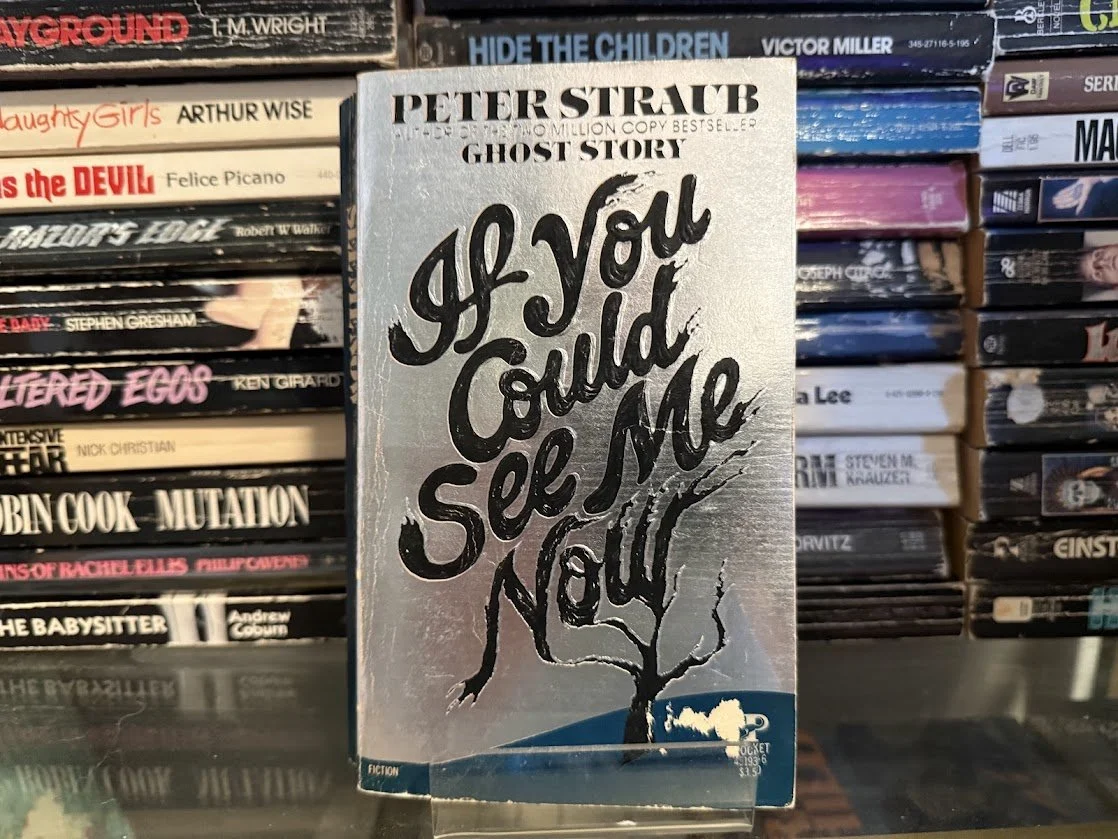 IF YOU COULD SEE ME NOW - Peter Straub