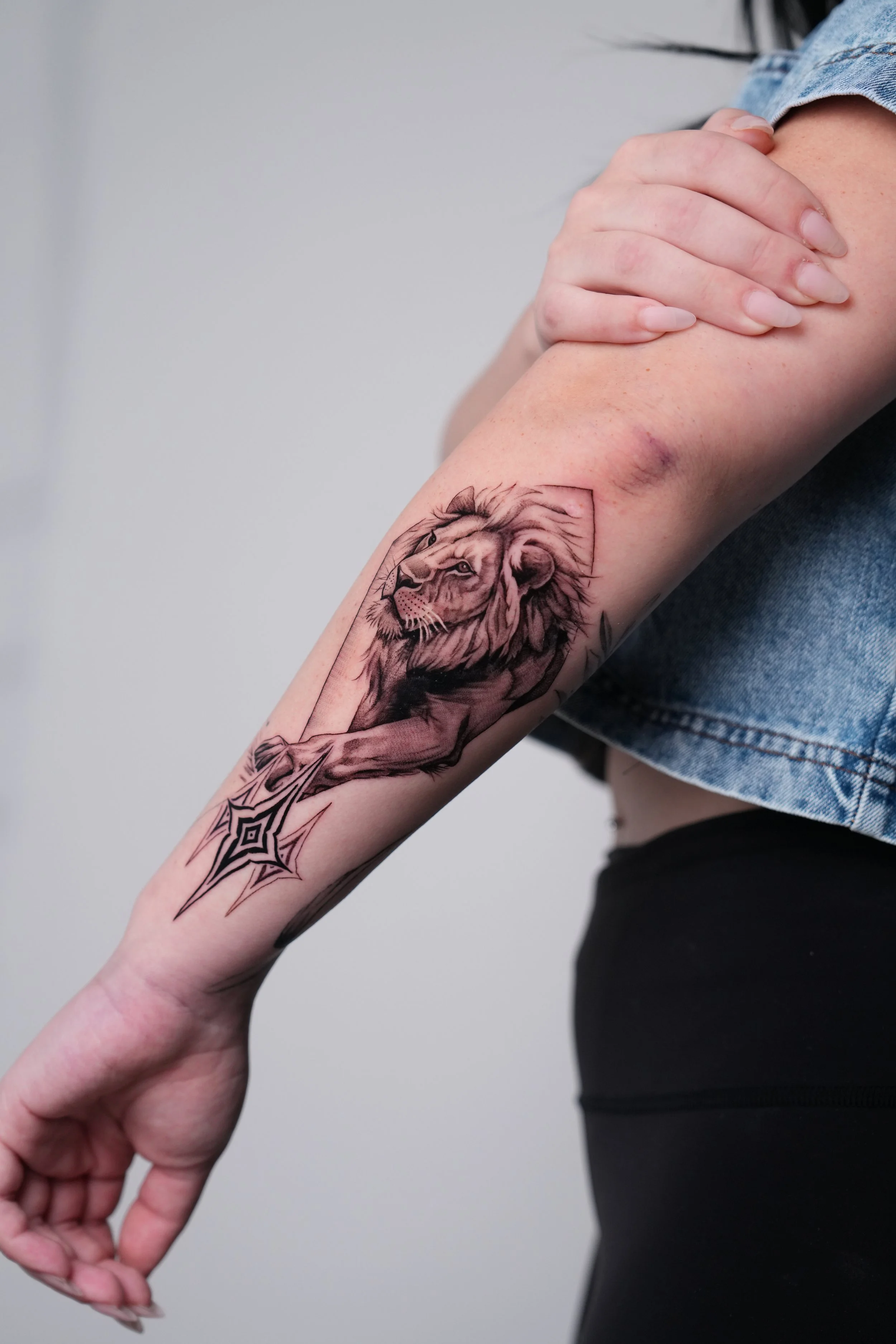 Tattoo of a lion with a mane, holding a spider web, on a person's forearm.