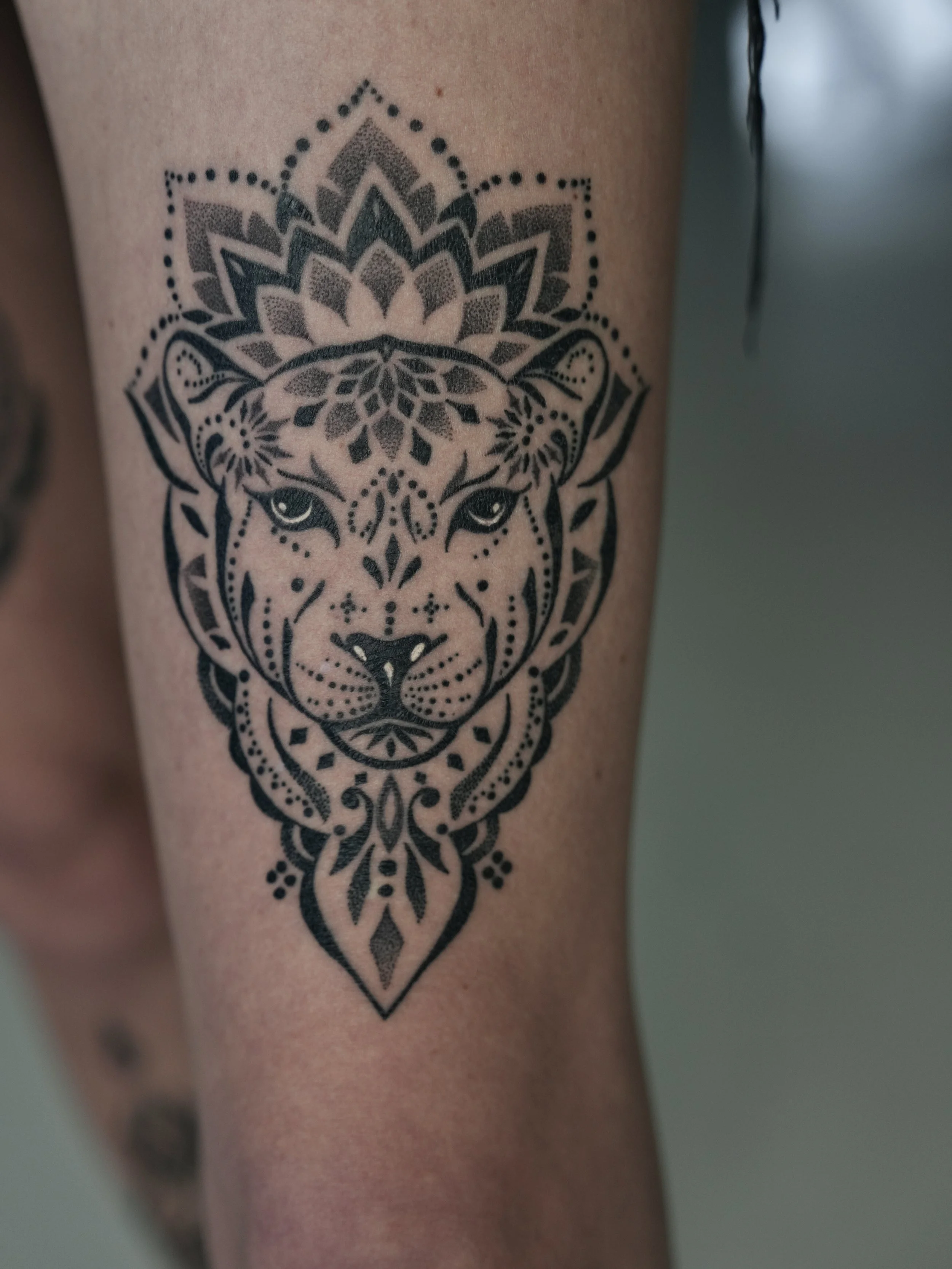 Black tribal-style tattoo of a lion's face with decorative geometric patterns on a person's arm.