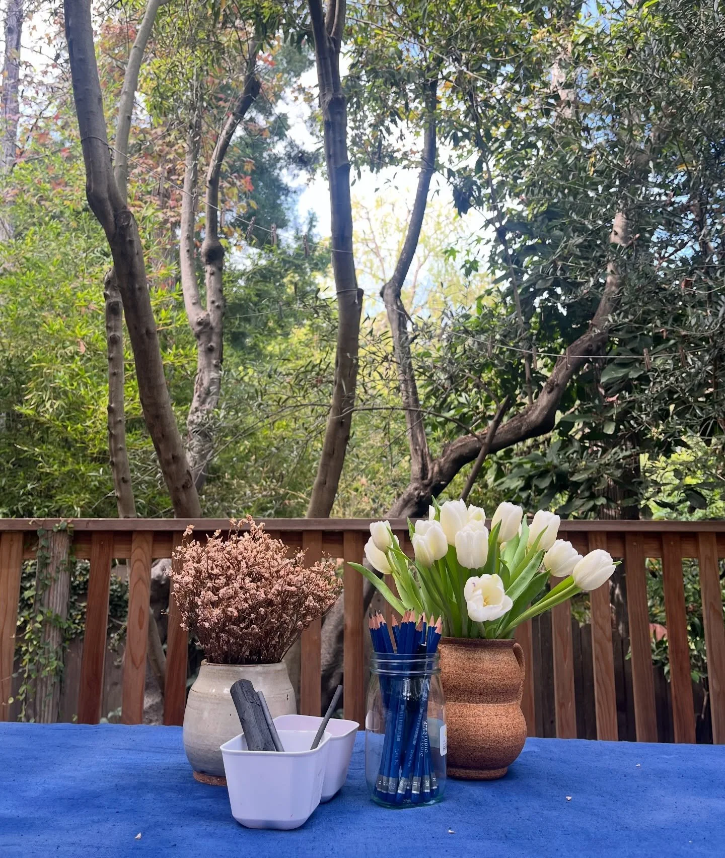 Ready for class 🌞