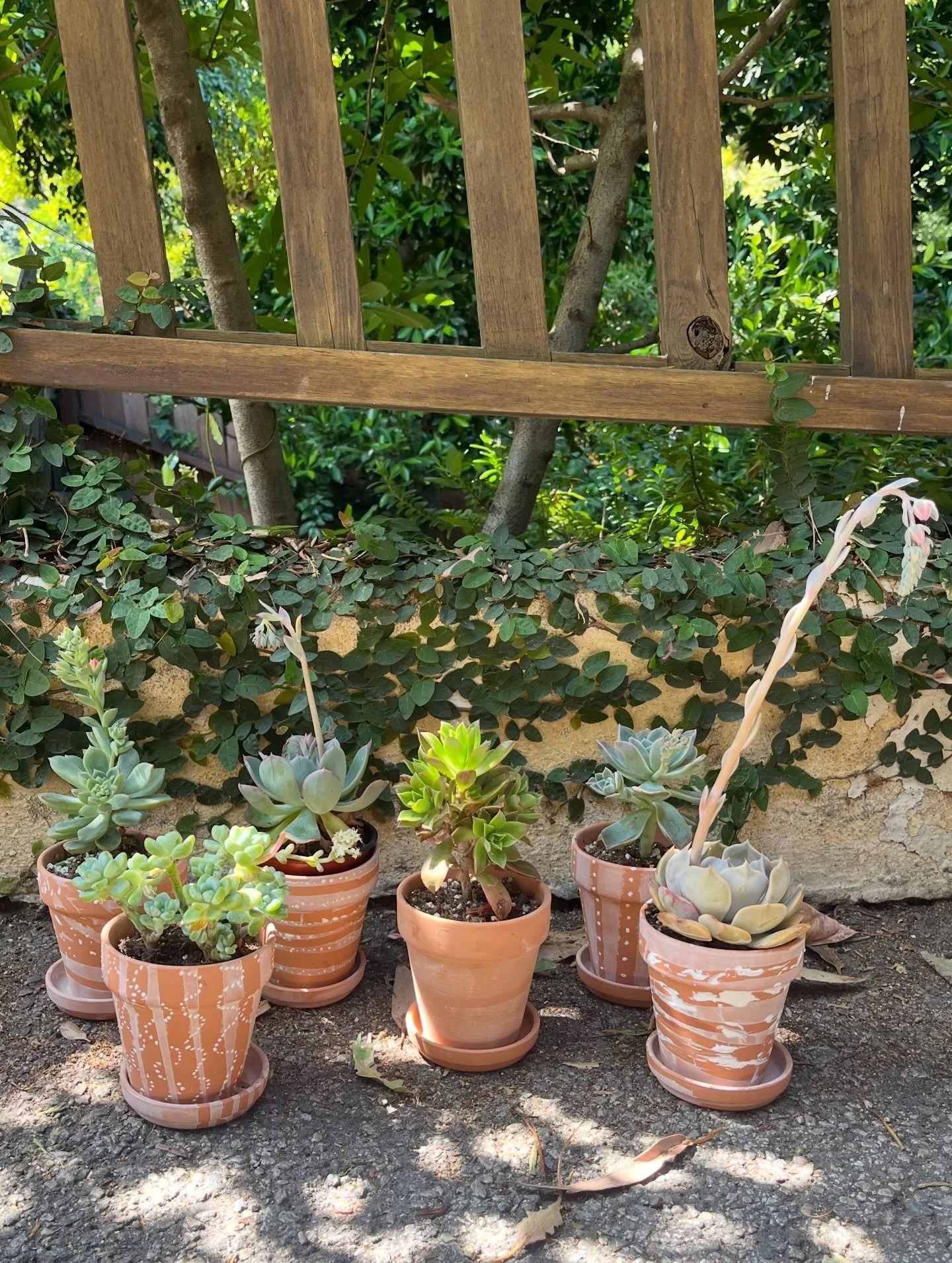 Succulent planters for earth day 🌎 inspired by milk paint and folk patterns. Painting with sponges, toothpicks and washi tape resist.