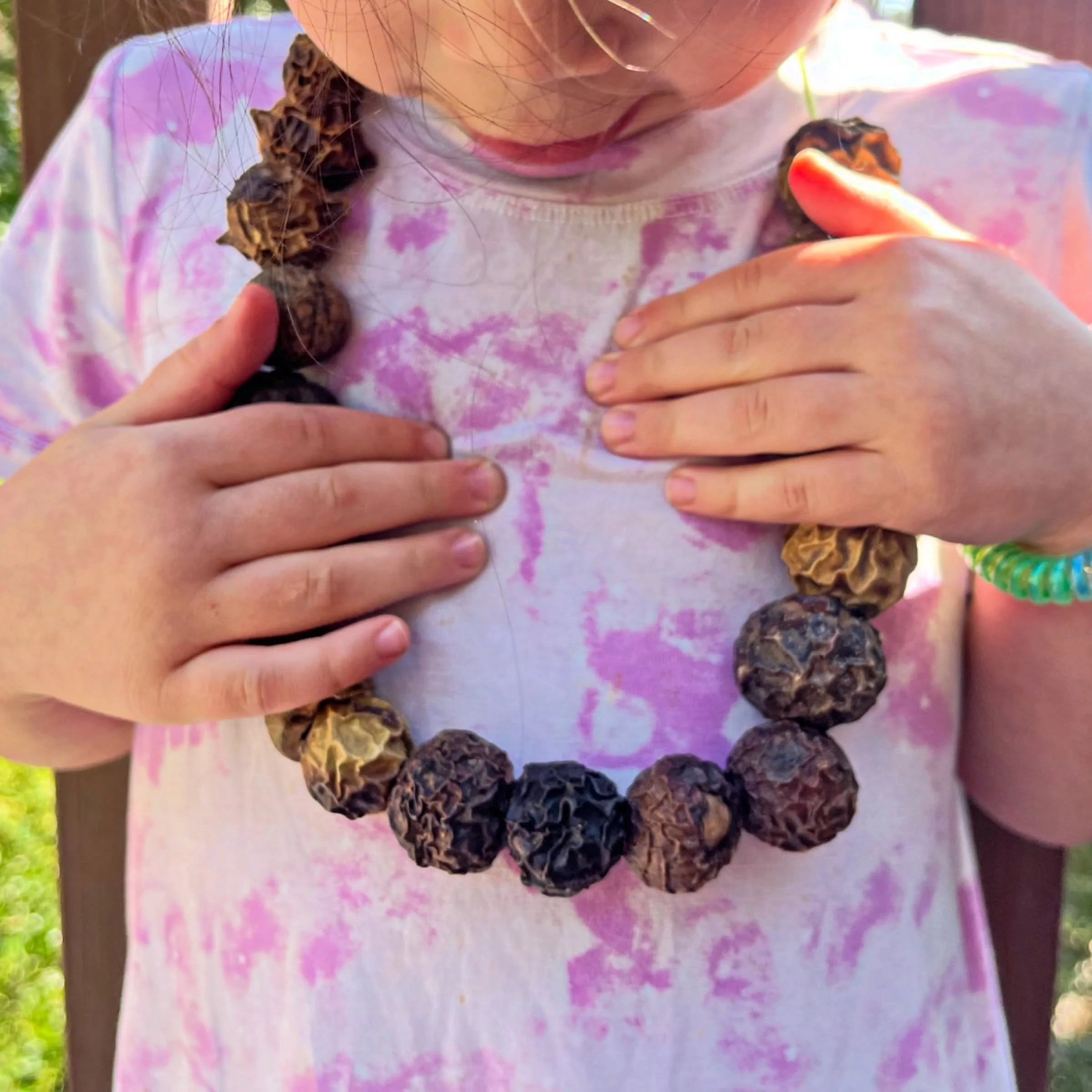 Found dried fallen fallen fruit, drilled holes, made a necklace 😊