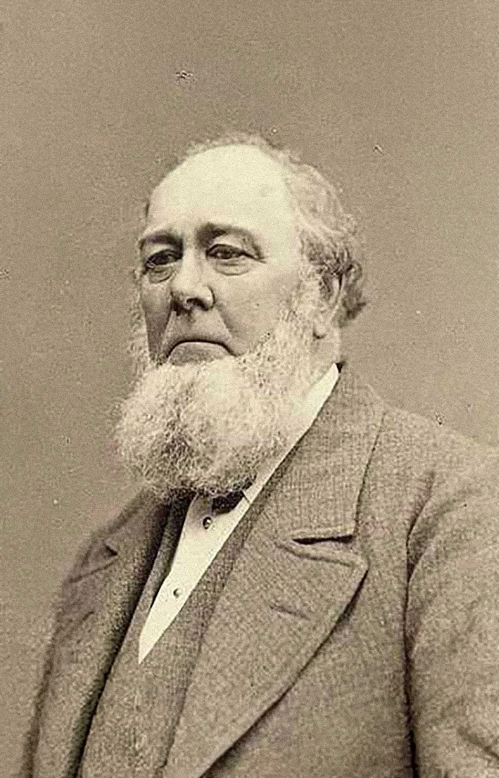 Portrait of Charles C. Rich