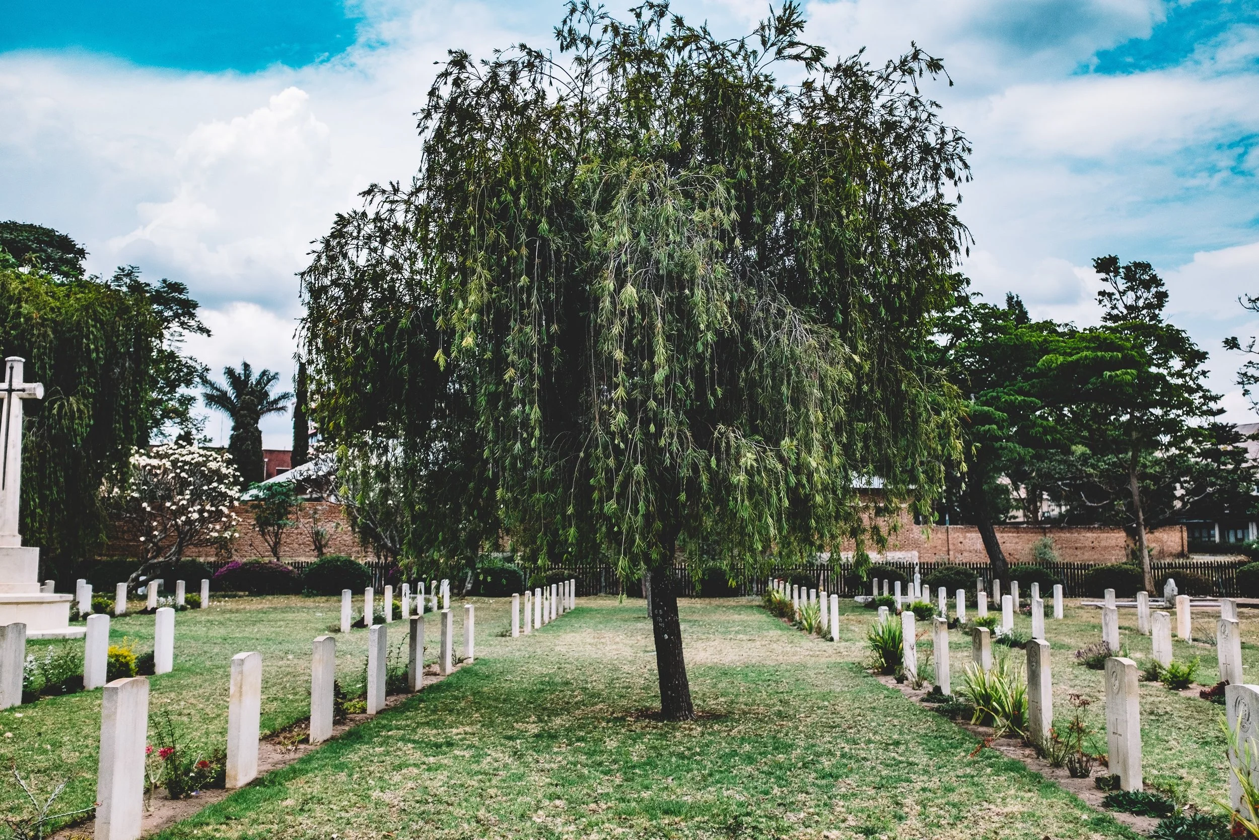 Watching My Family Die Made Me an Expert in Death