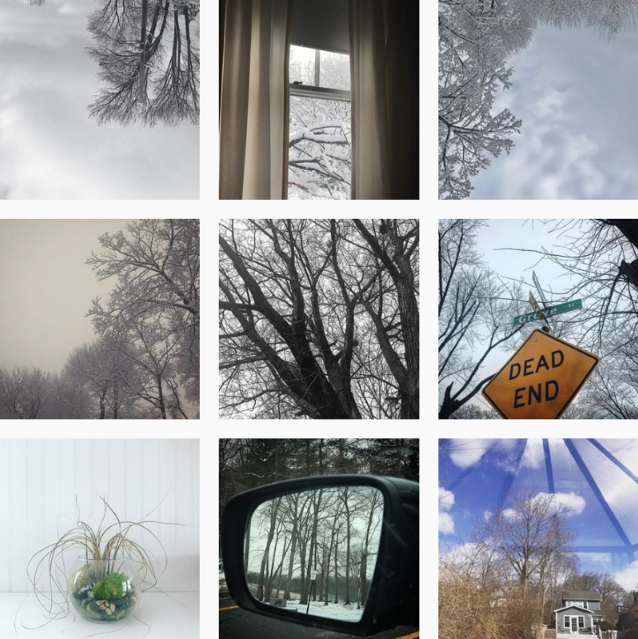 @trustgreene — February to March 2019