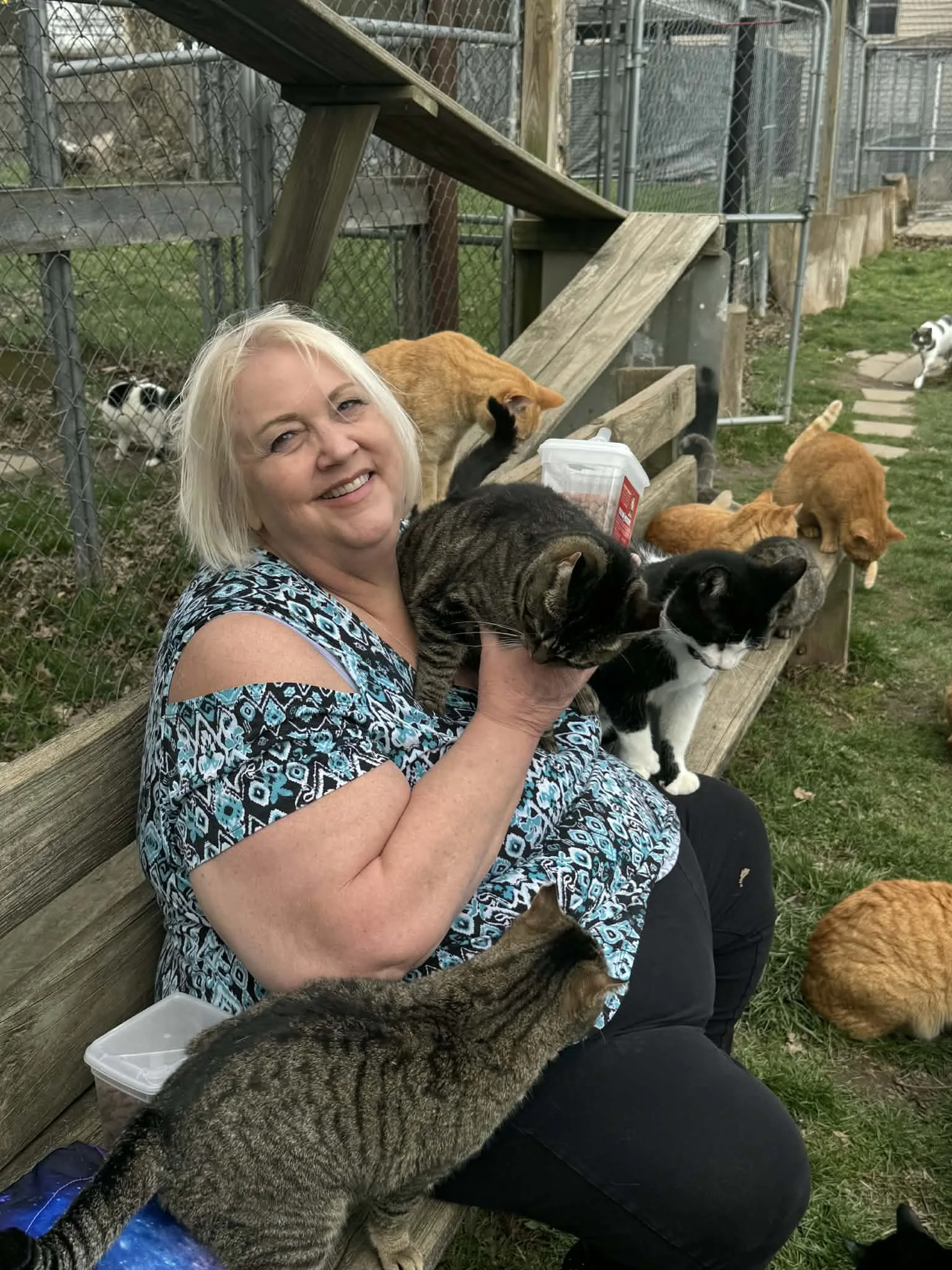 Adoption Event
