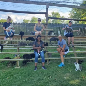Gallery — Homeless to Home Animal Rescue & Cat Sanctuary