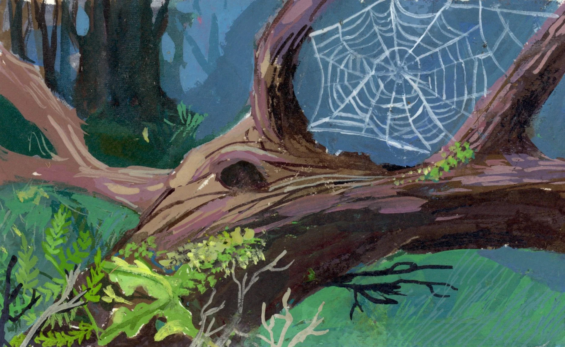 web.jpg