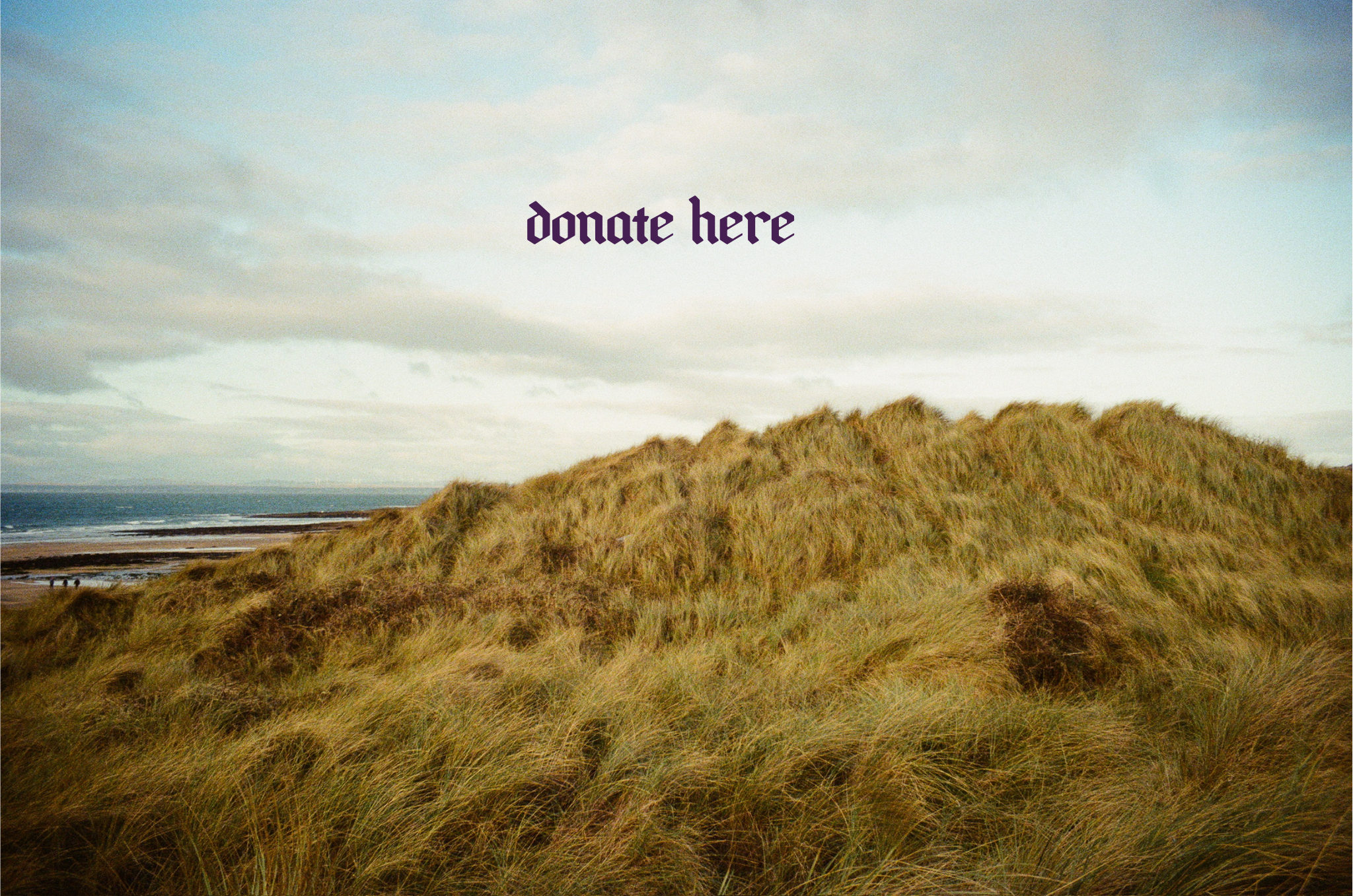 "donate here" overlay on beach dunes