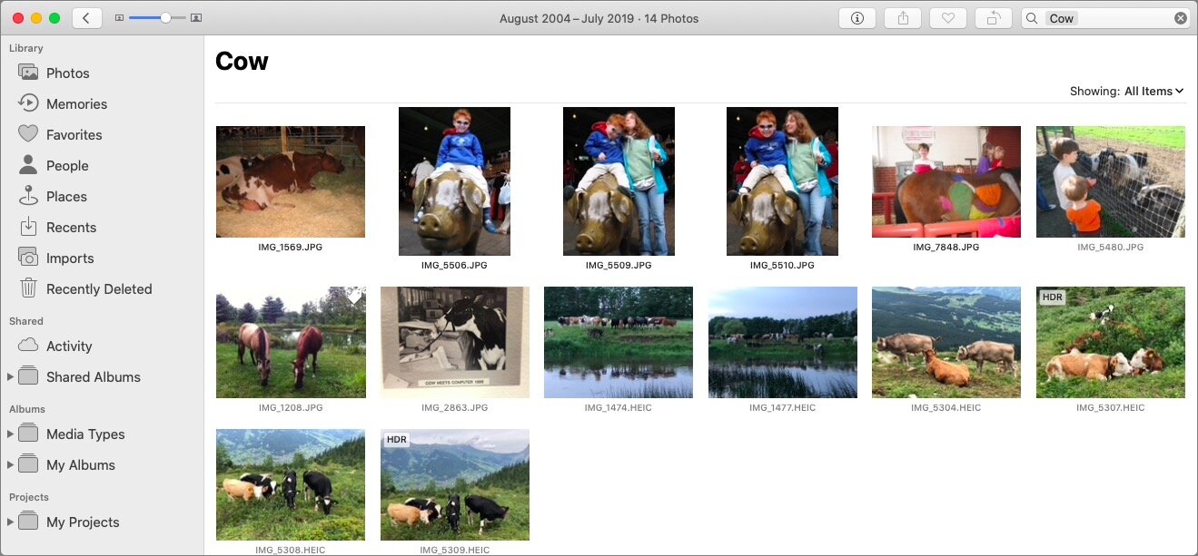 Photos-object-search-cow.jpg