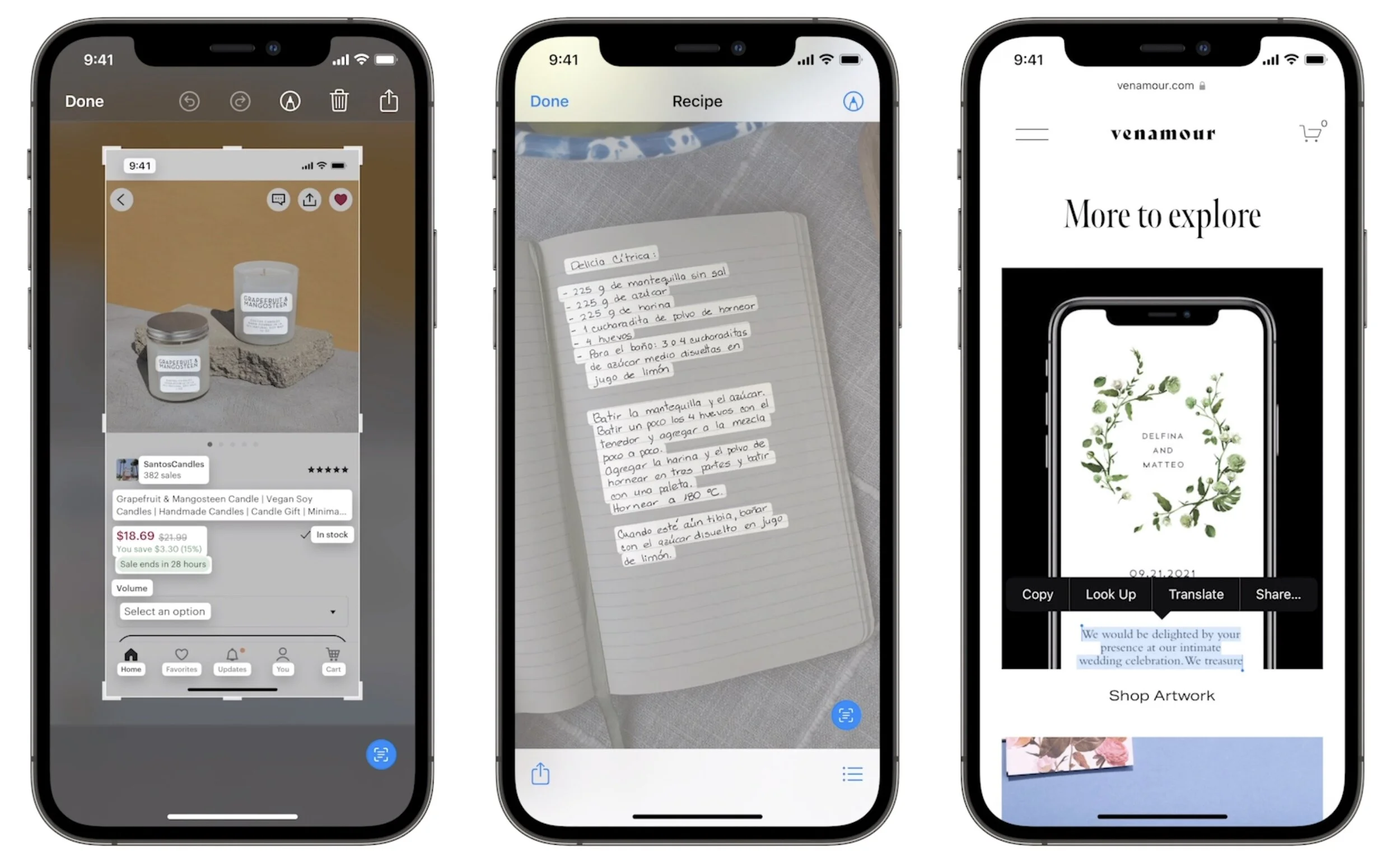 Live-Text-iPhone.jpg