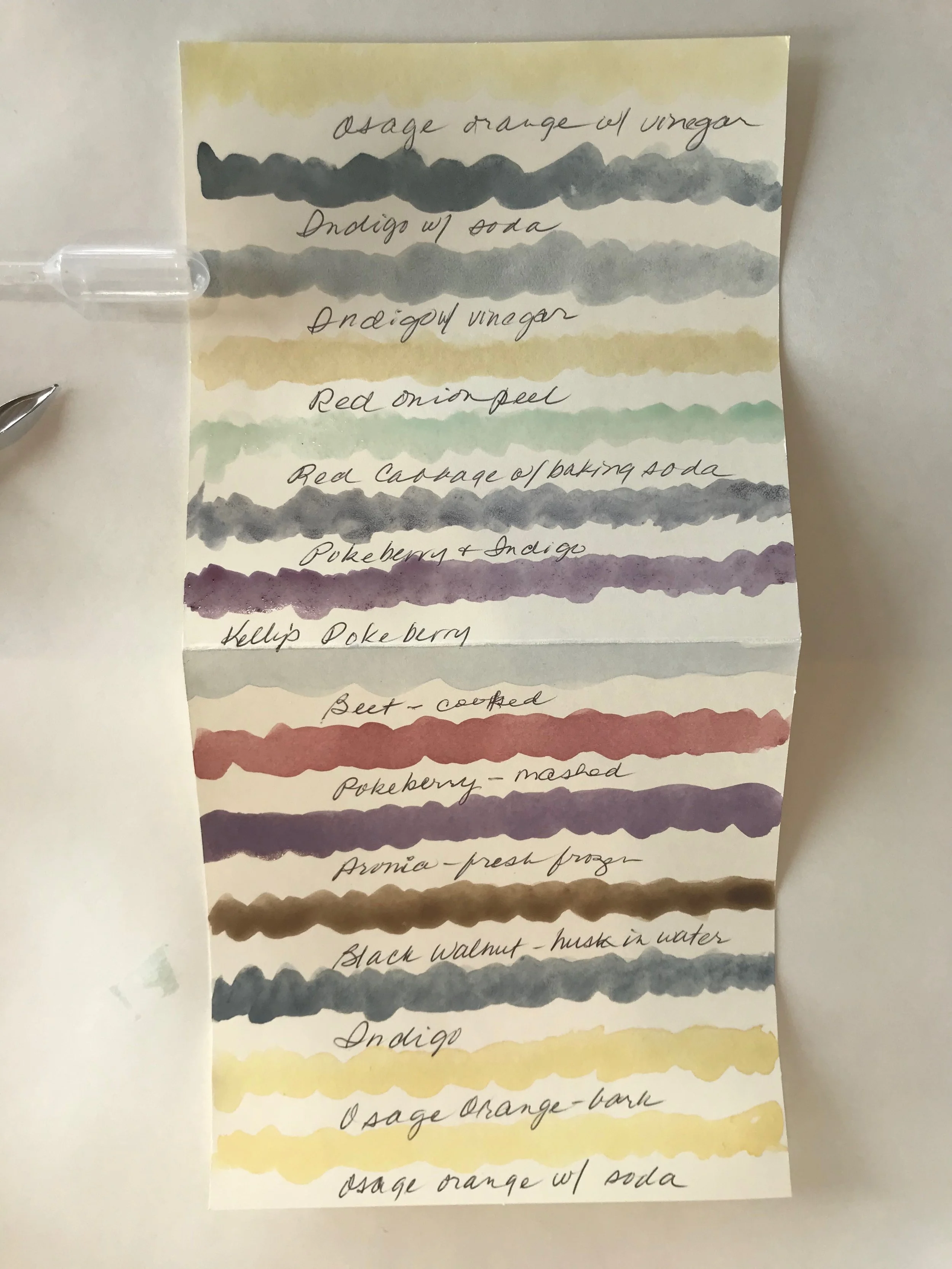 Learn to Make Botanical Inks/Watercolors at Shine Studios, Winterset
