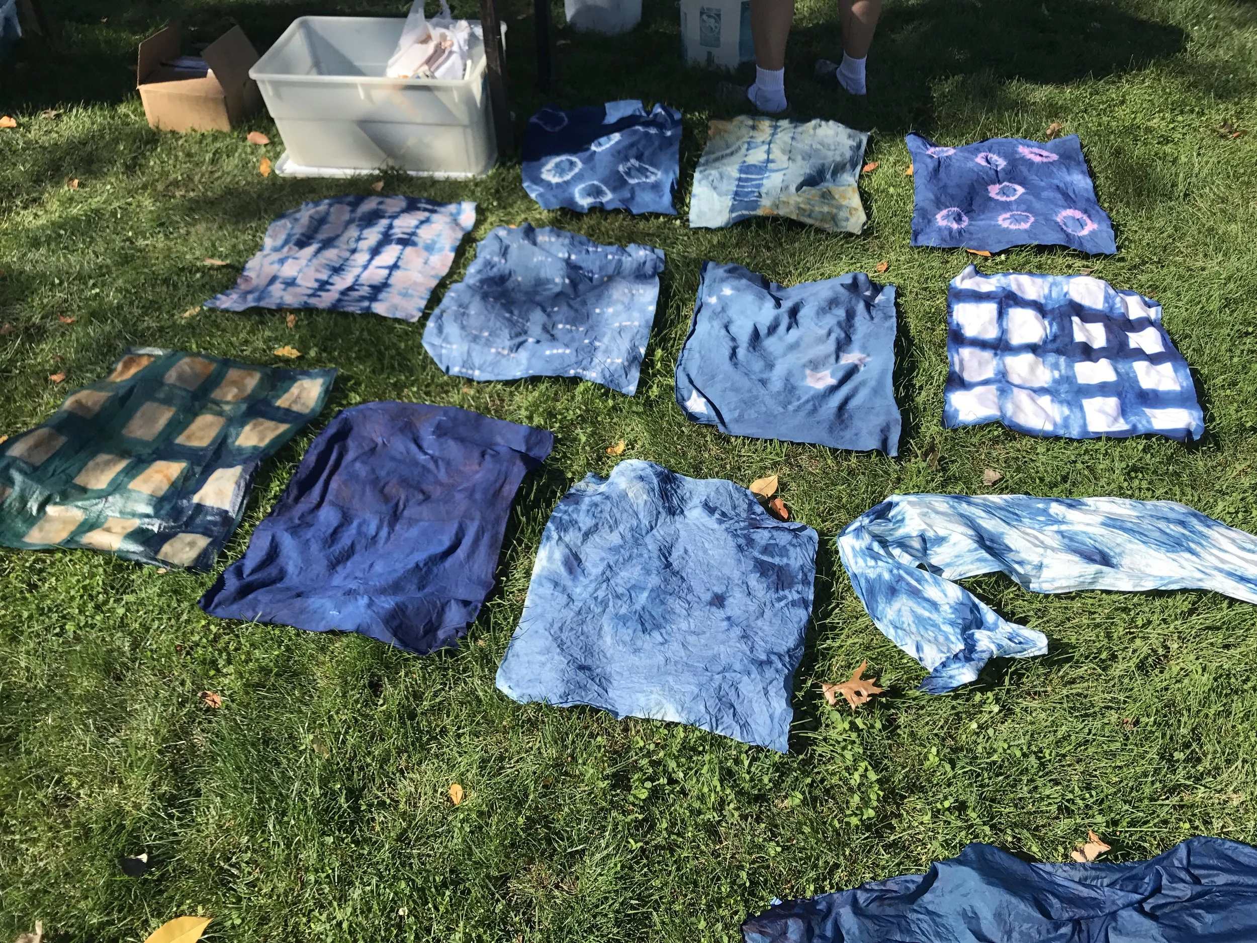 Intro to Indigo Dyeing Class, June 8, Adel