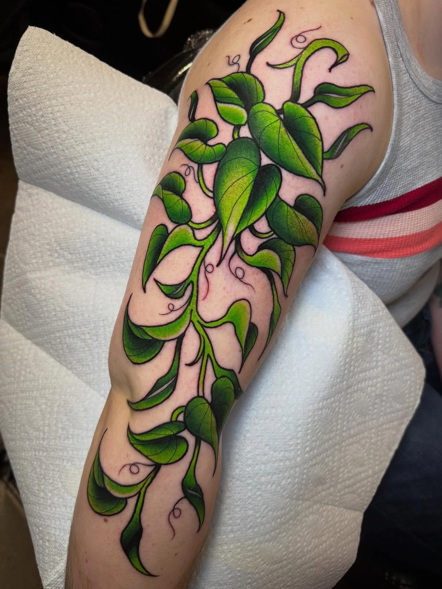Pathos plant! #iowatattooartist #tattoo #illustration #neotraditional #tattooartist