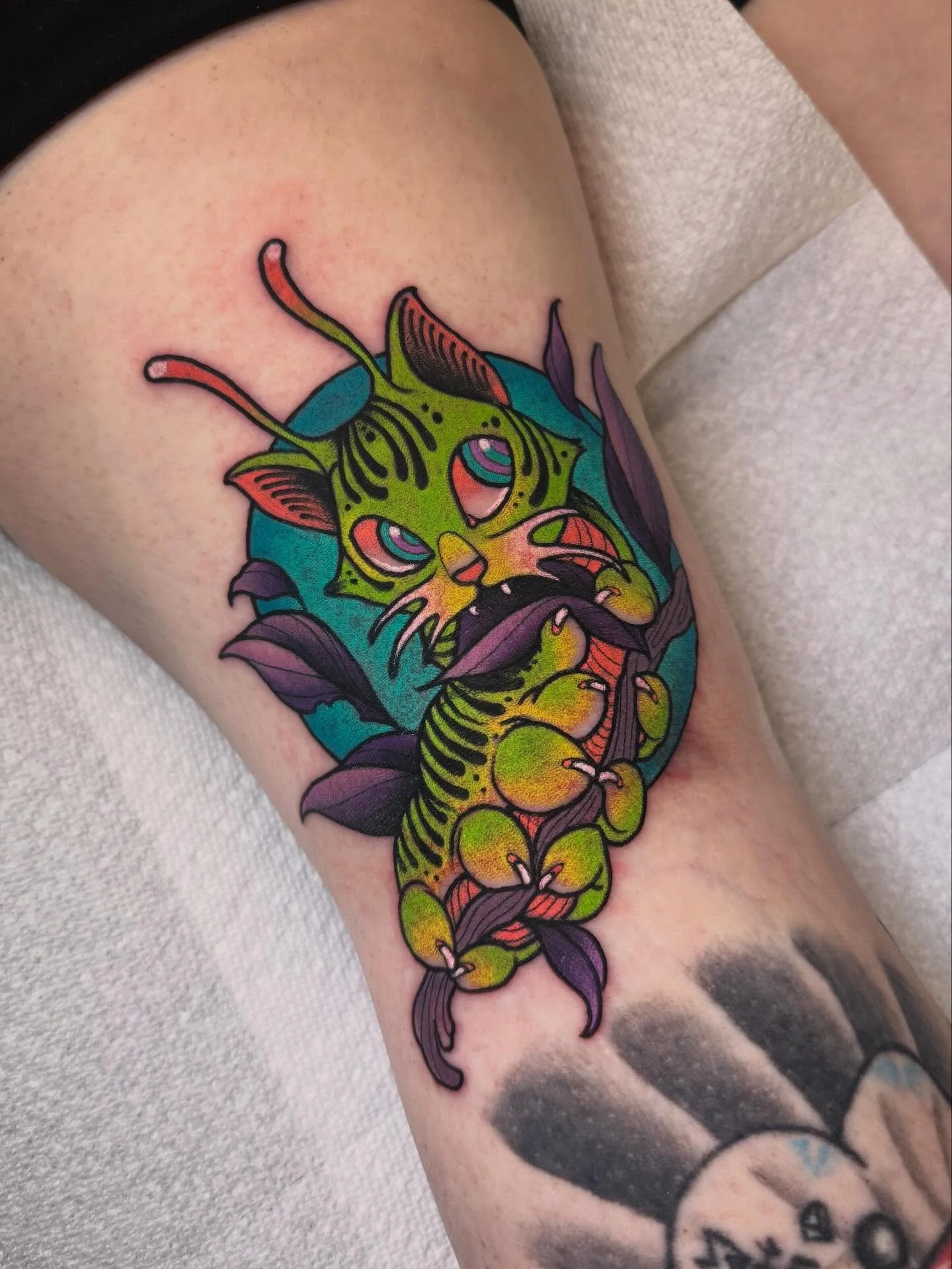 CATerpillar for your eyeballs! @iron_heart_tattoo 

#iowatattooartist #tattoo #illustration #neotraditional #tattooartist