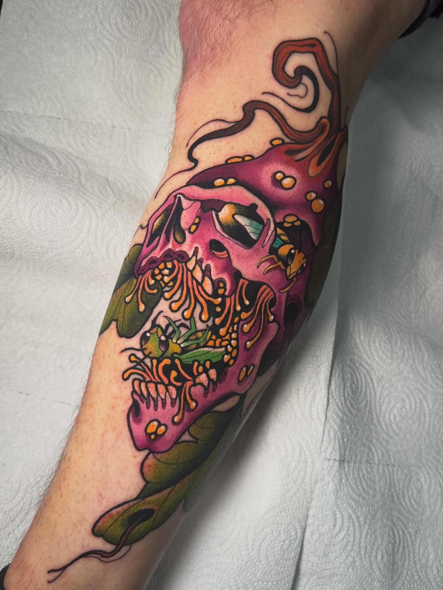 Skull &amp; fig morph! I was lucky enough to snag 2nd TOD Color at @middleofthemaptattoo🙏🏻 thanks Josh! 
&mdash;&mdash;&mdash;&mdash;&mdash;&mdash;
#iowatattooartist #tattoo #illustration #neotraditional #tattooartist