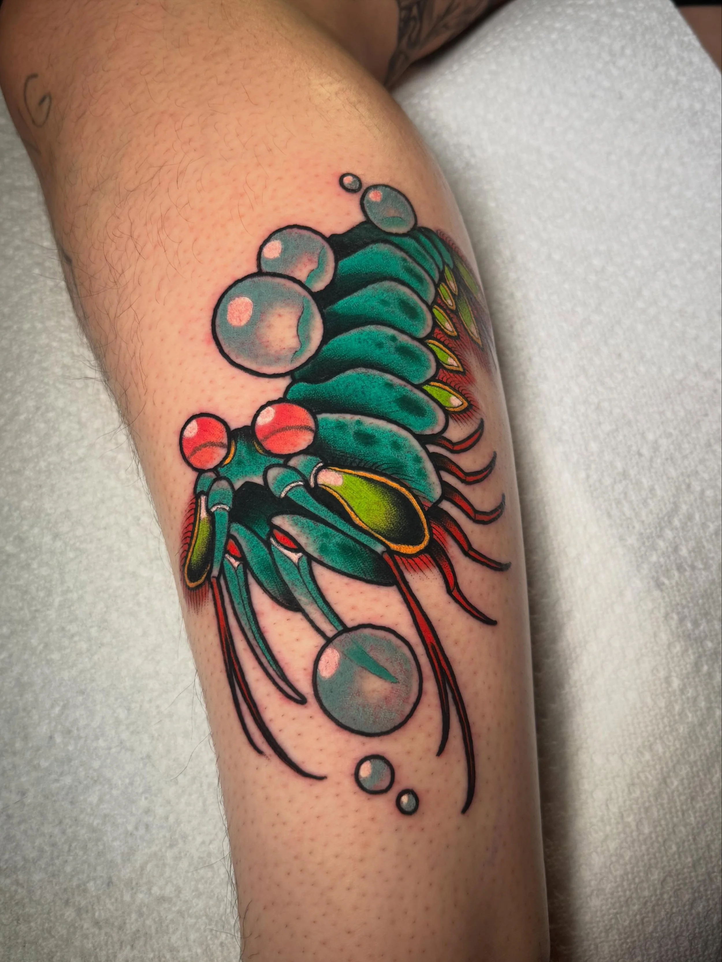 Mantis shrimp! @iron_heart_tattoo 
&mdash;&mdash;&mdash;&mdash;&mdash;&mdash;
#iowatattooartist #tattoo #illustration #neotraditional #tattooartist