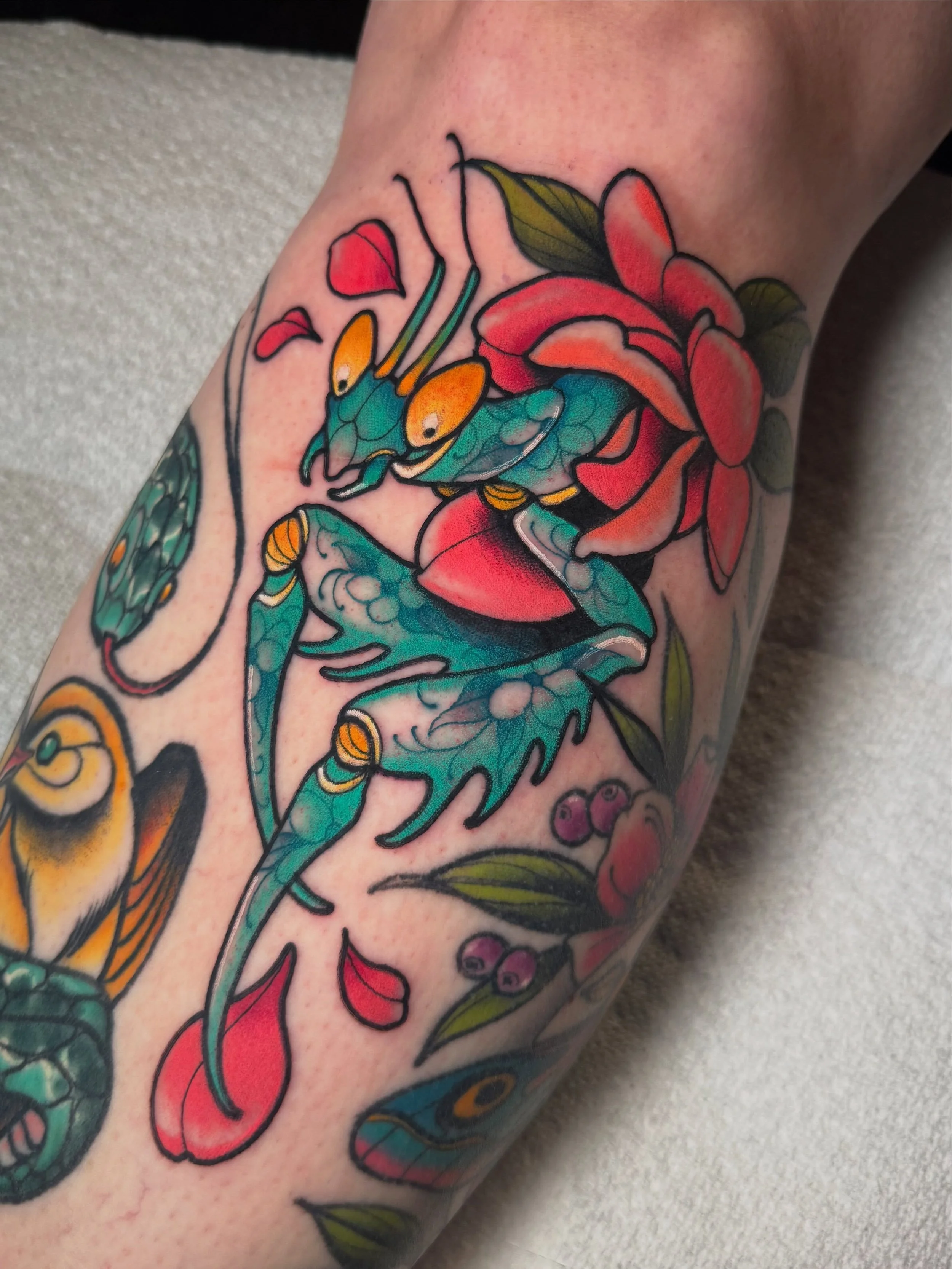 Gap filler! 🫶🏻 @iron_heart_tattoo 
&mdash;&mdash;&mdash;&mdash;&mdash;&mdash;
#iowatattooartist #tattoo #illustration #neotraditional #tattooartist