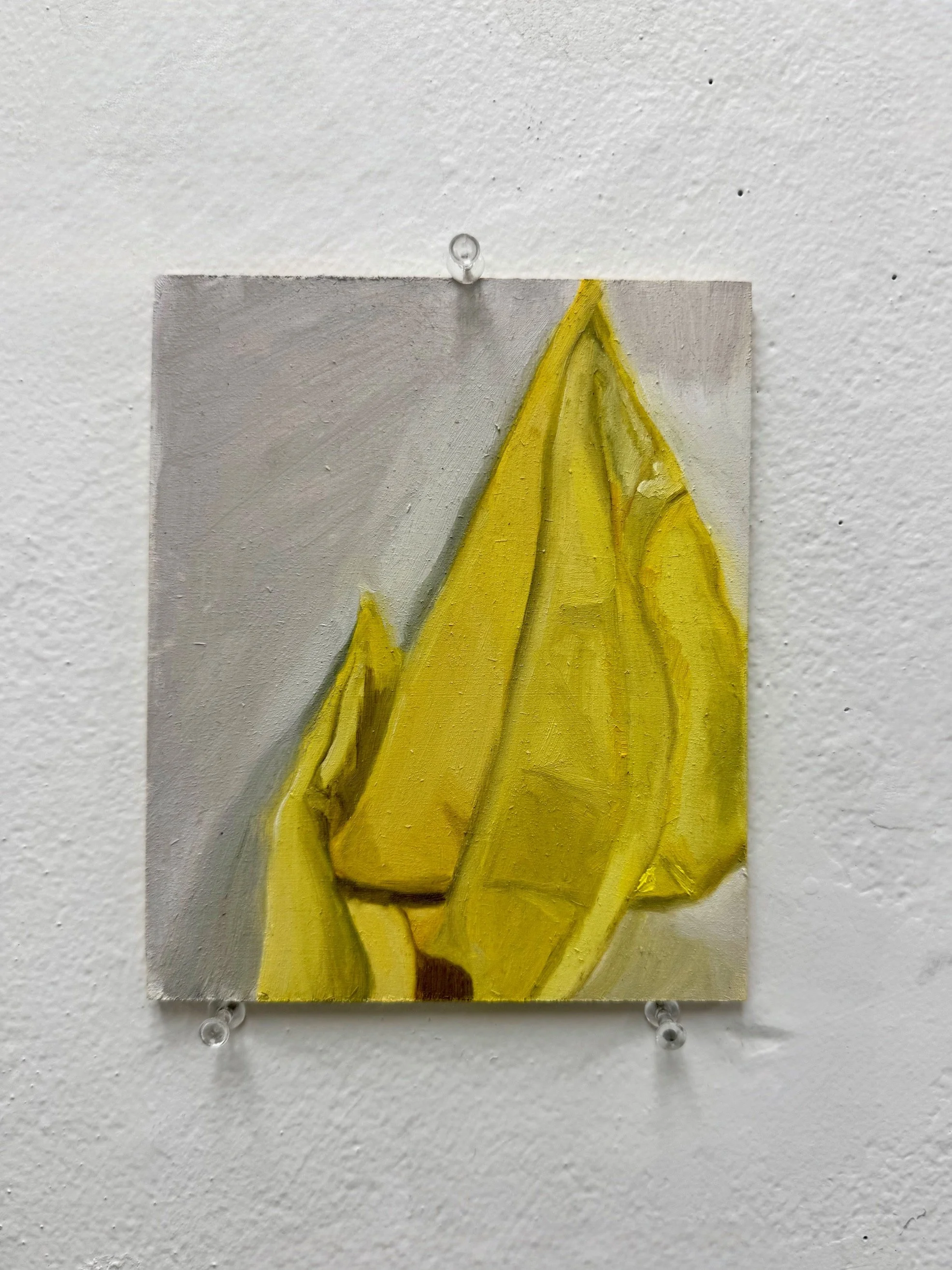 Drapery Study, 2026. Oil on wood panel,