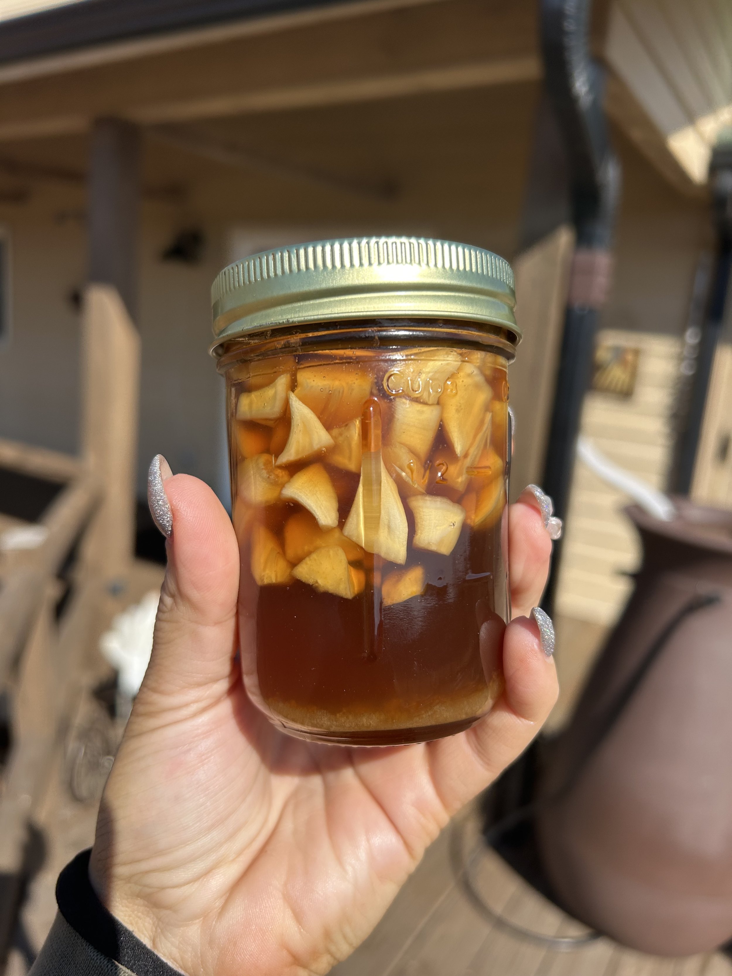Garlic Fermented Honey
