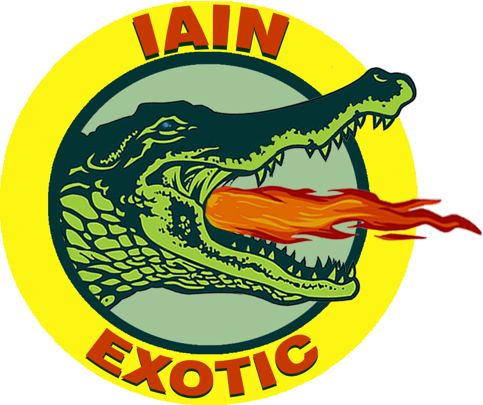 Iain exotic logo FINAL 1.png