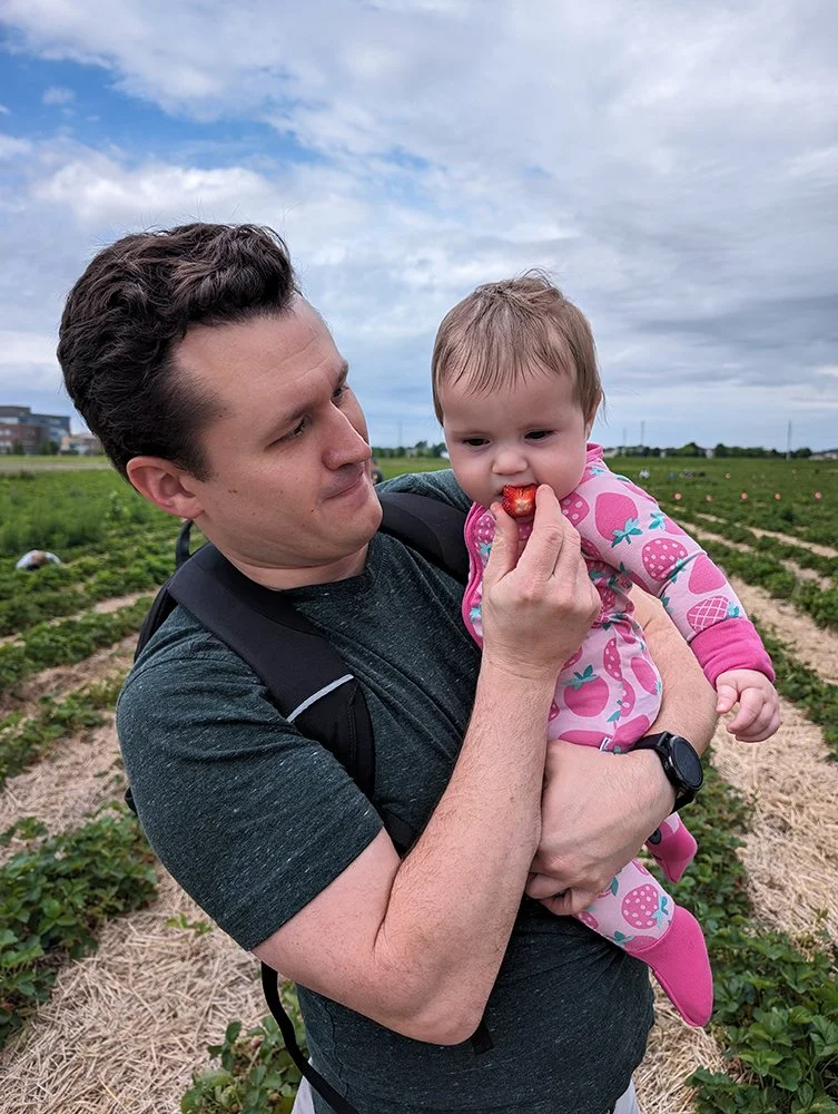 A man holding a young girl in a strawberry field during daytime, as he feeds her a piece of strawberry.