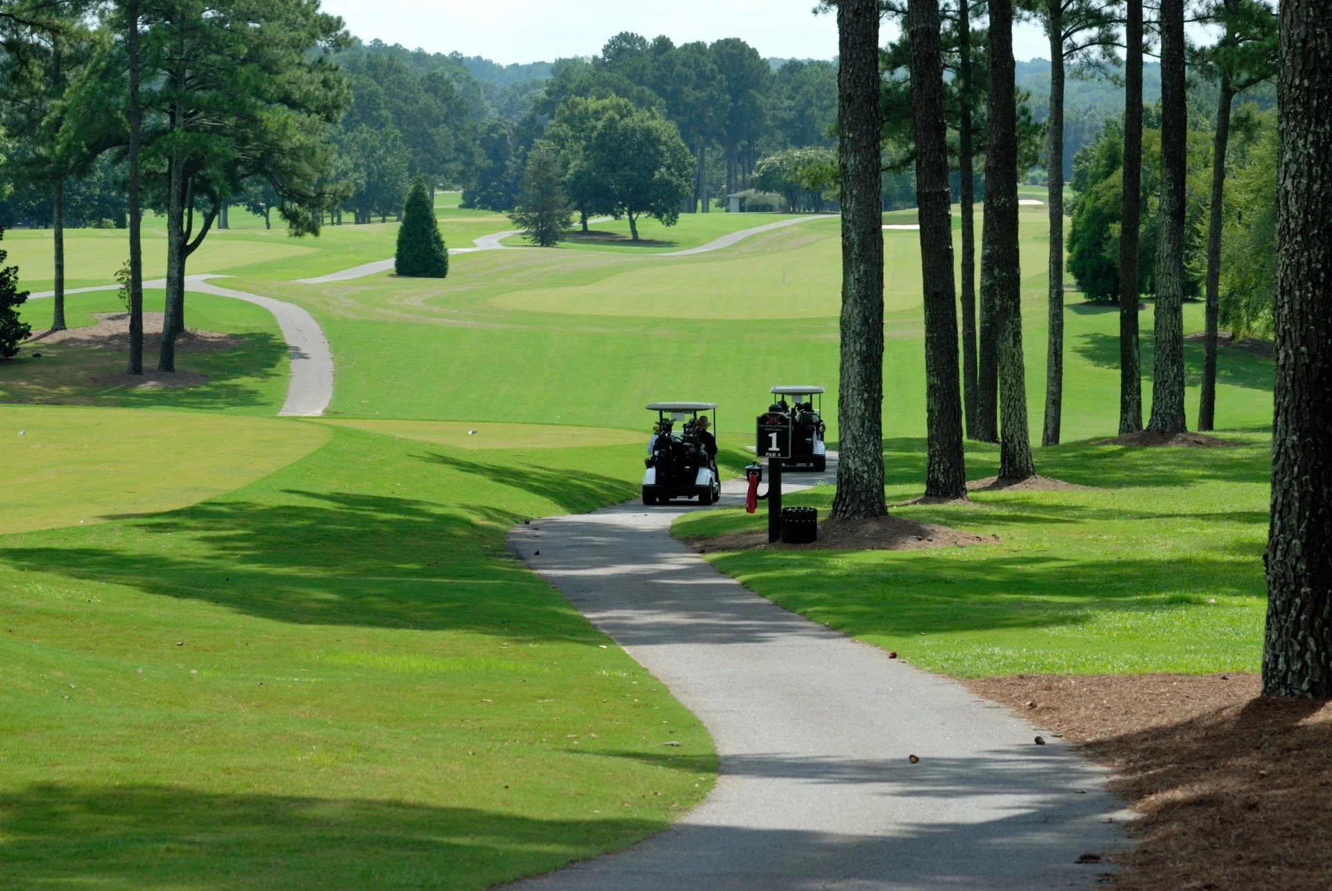 A golf course with a paved path, two golf carts, and tall pine trees lining the course, with rolling green fairways and trees in the background.