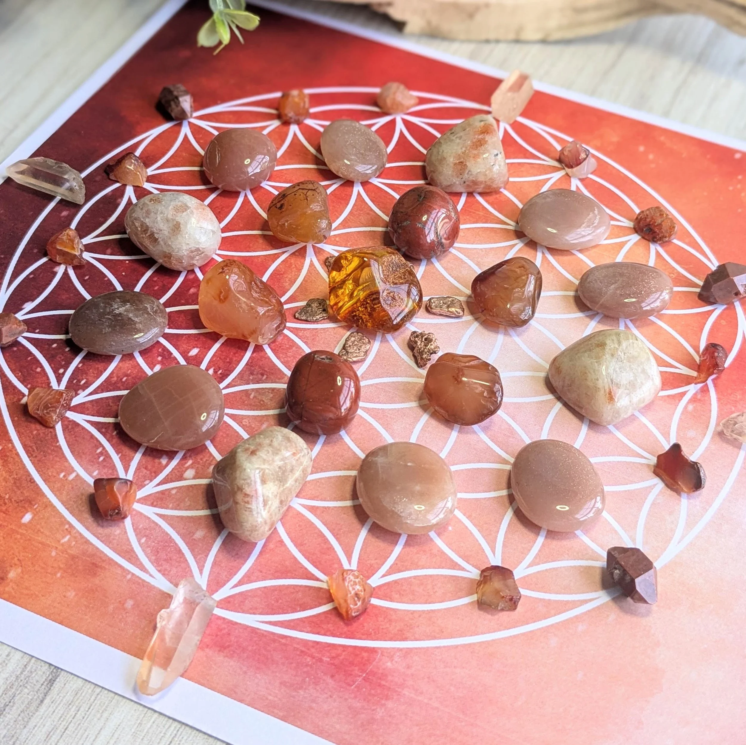 A collection of polished and rough gemstones arranged on a Flower of Life print, on a wooden surface.