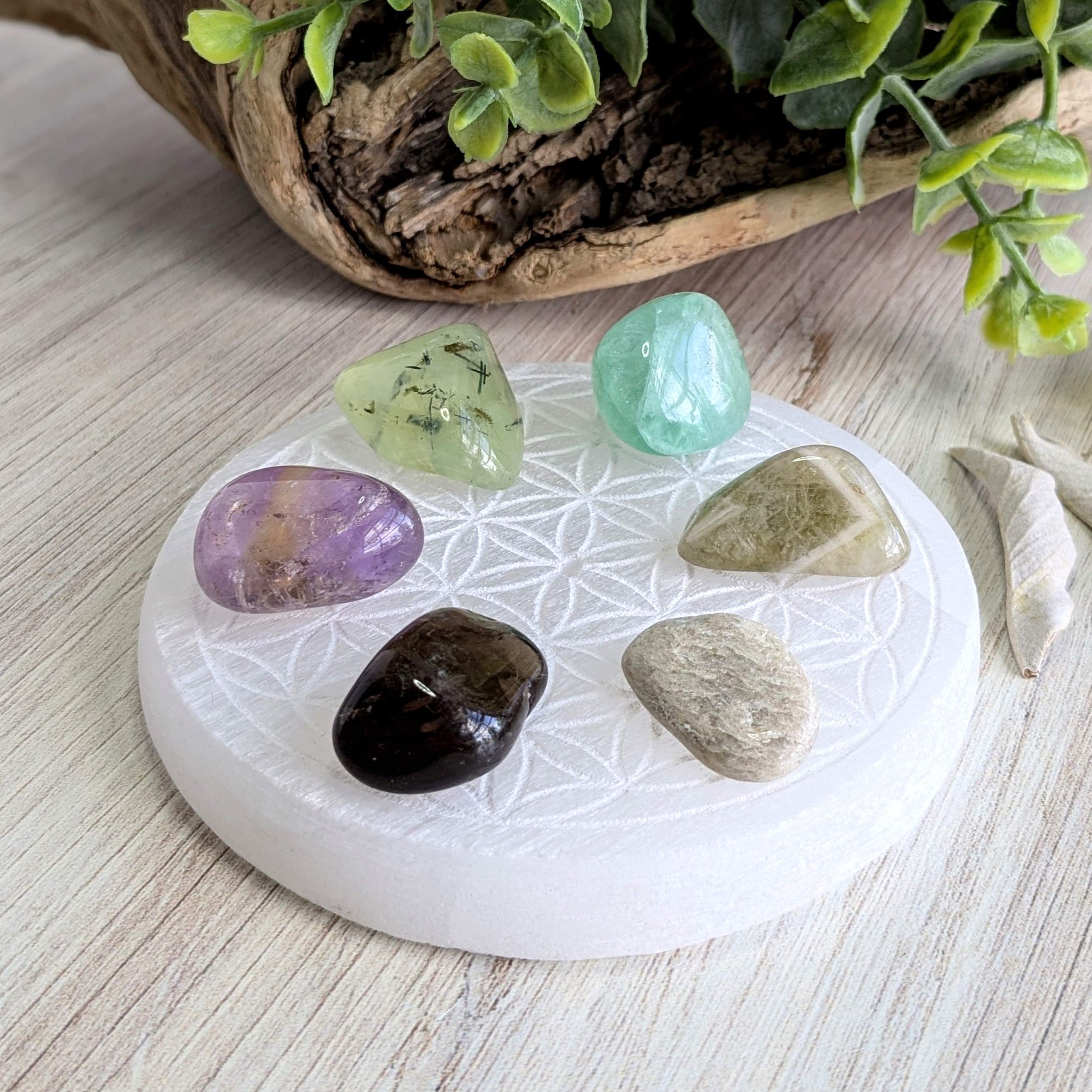 Six polished gemstones of various colors arrangedon Selenite, with a wooden container holding green plants in the background and two dried white leaves to the right.