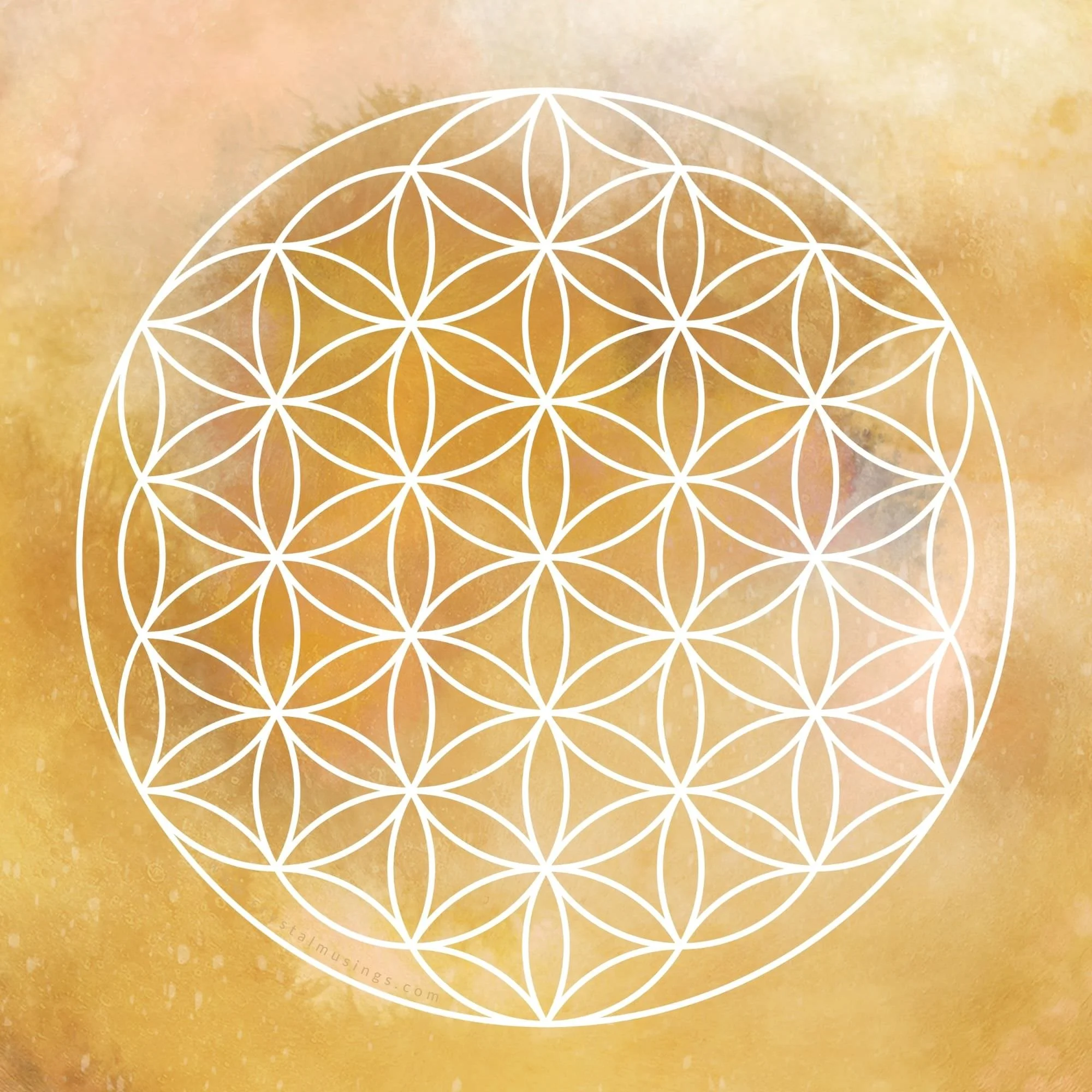 Solar Plexus Chakra Grid