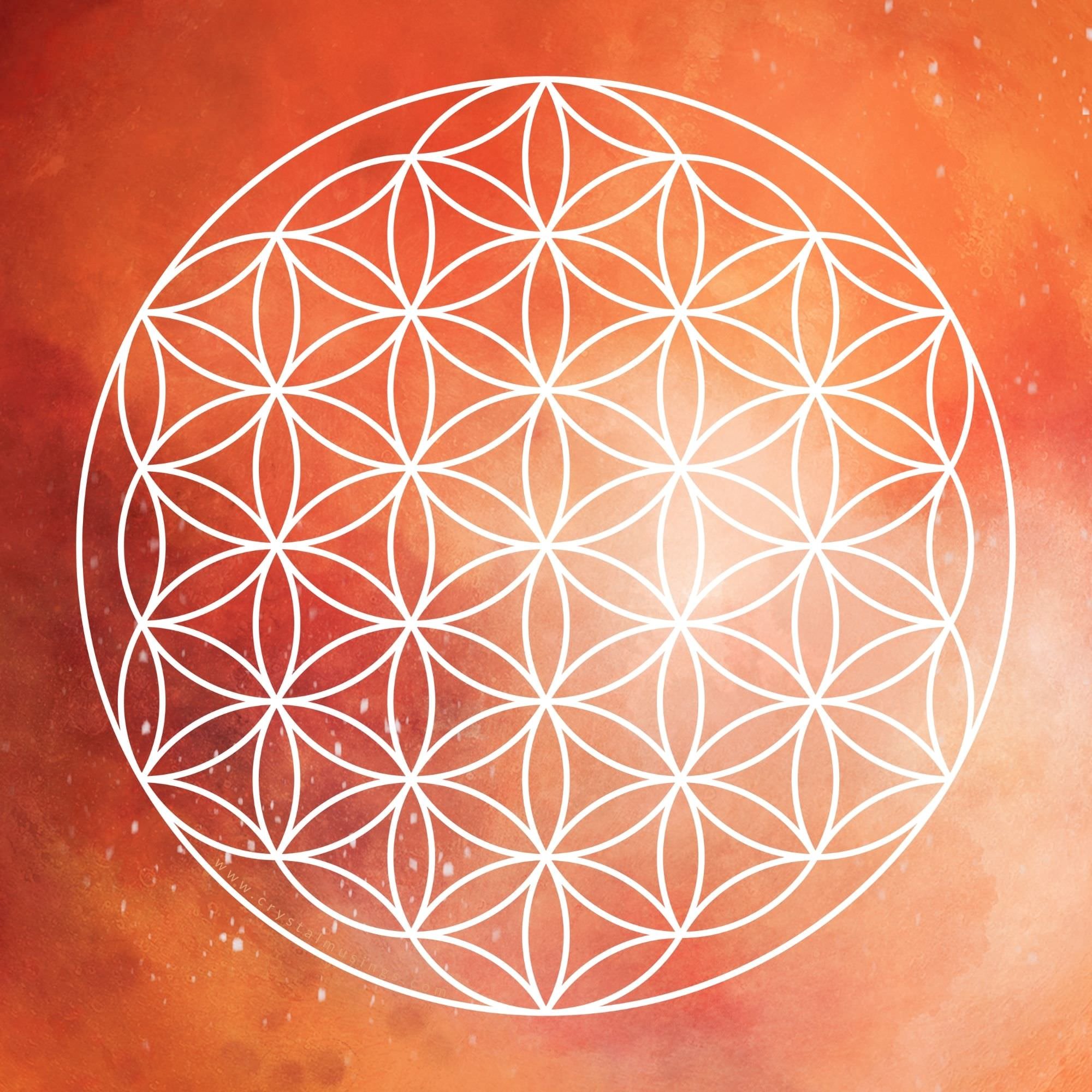 Sacral Chakra Grid