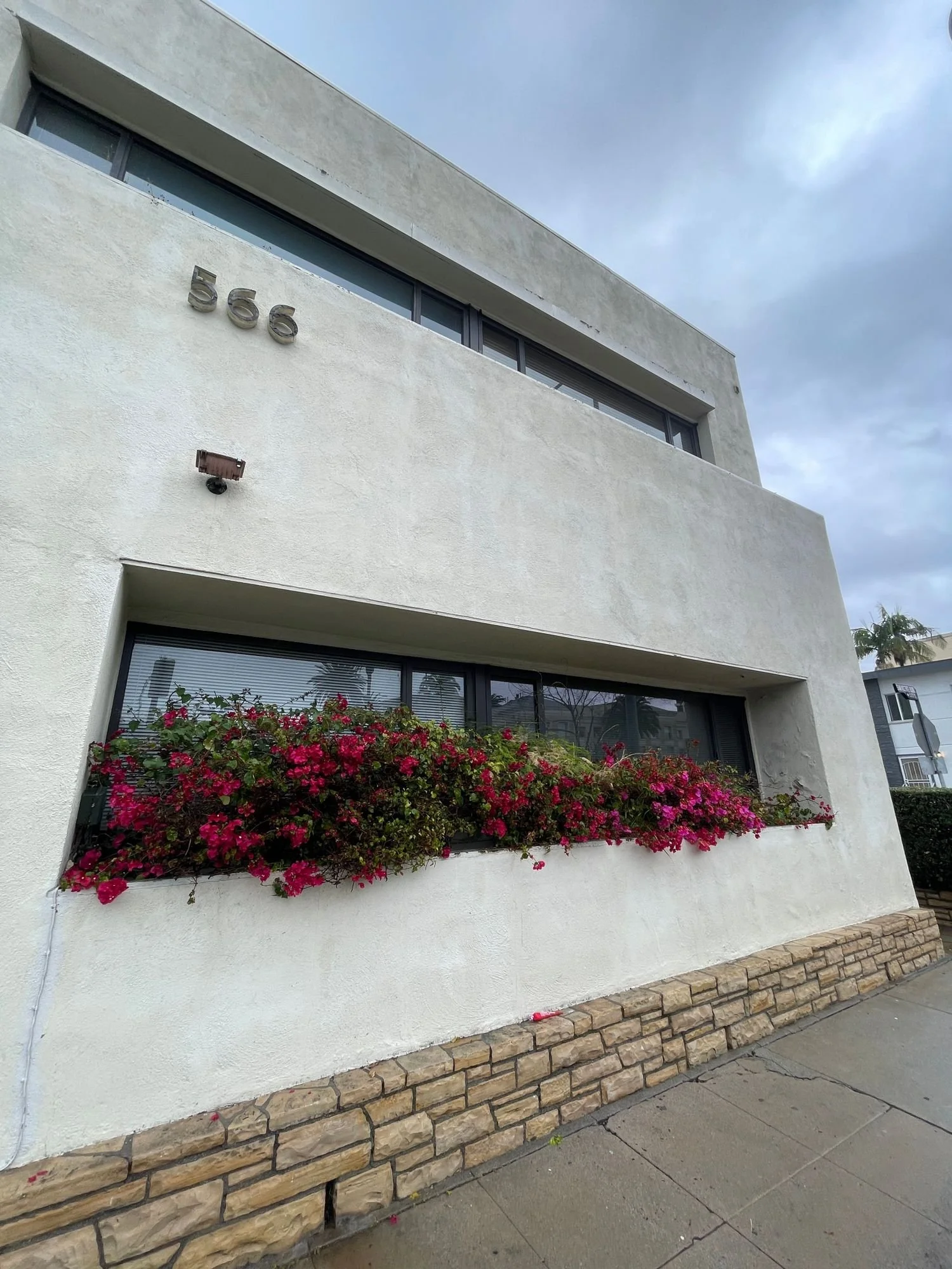 A white modern building with the address number 566 on the wall. There is a flower box with pink and red flowers below the windows. The building has large windows and a stone base along the sidewalk.