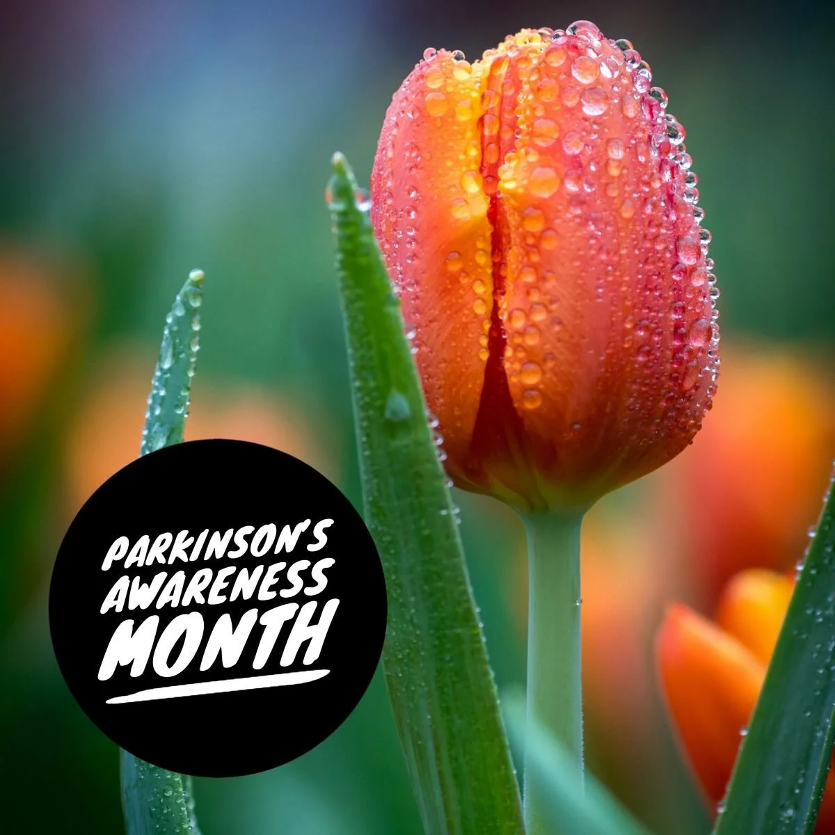 Parkinson&rsquo;s Awareness Month has a special professional and personal meaning to me. 🌷

I remember a time when I felt so discouraged about helping people living with Parkinson&rsquo;s.  The &ldquo;old school&rdquo; thinking was that there was no