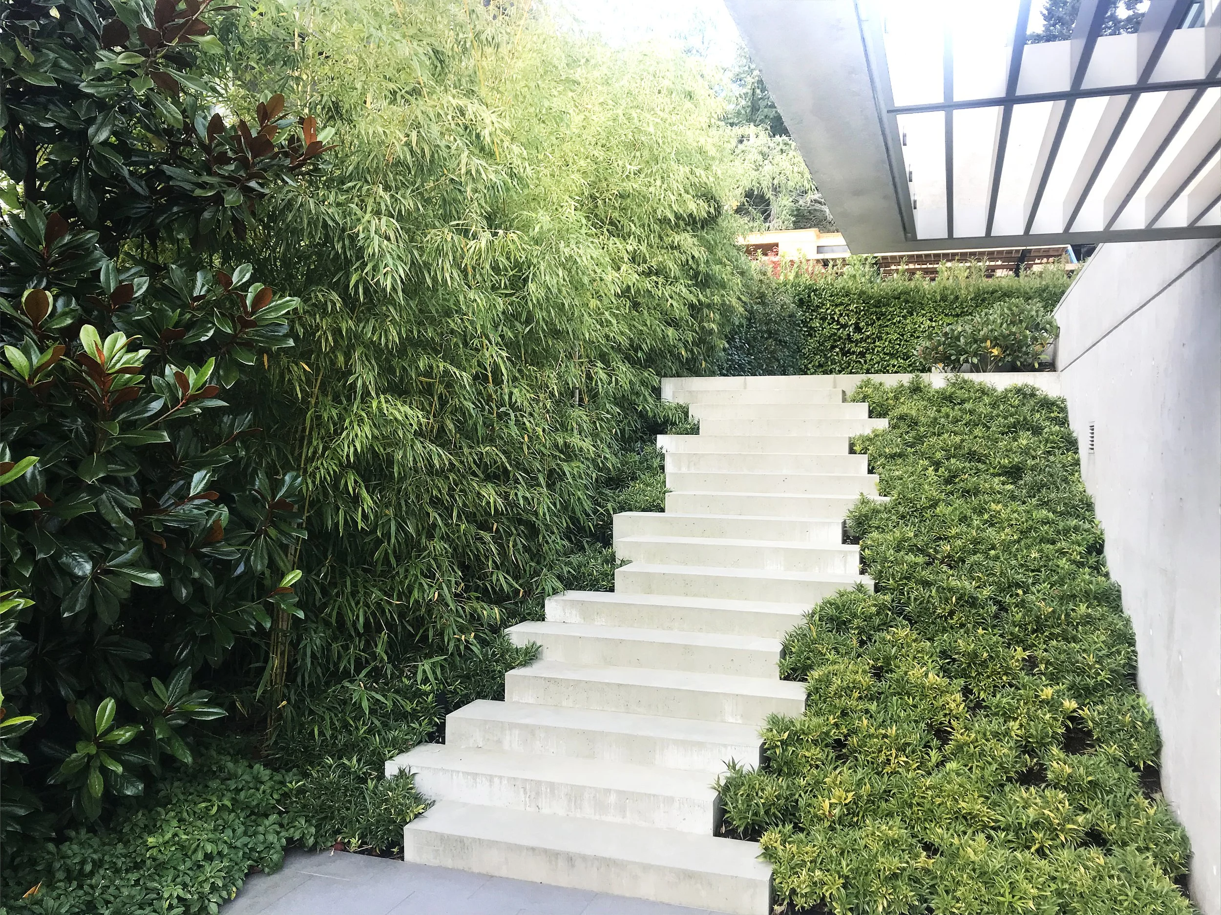 IMG_4545 North Van IG.jpeg