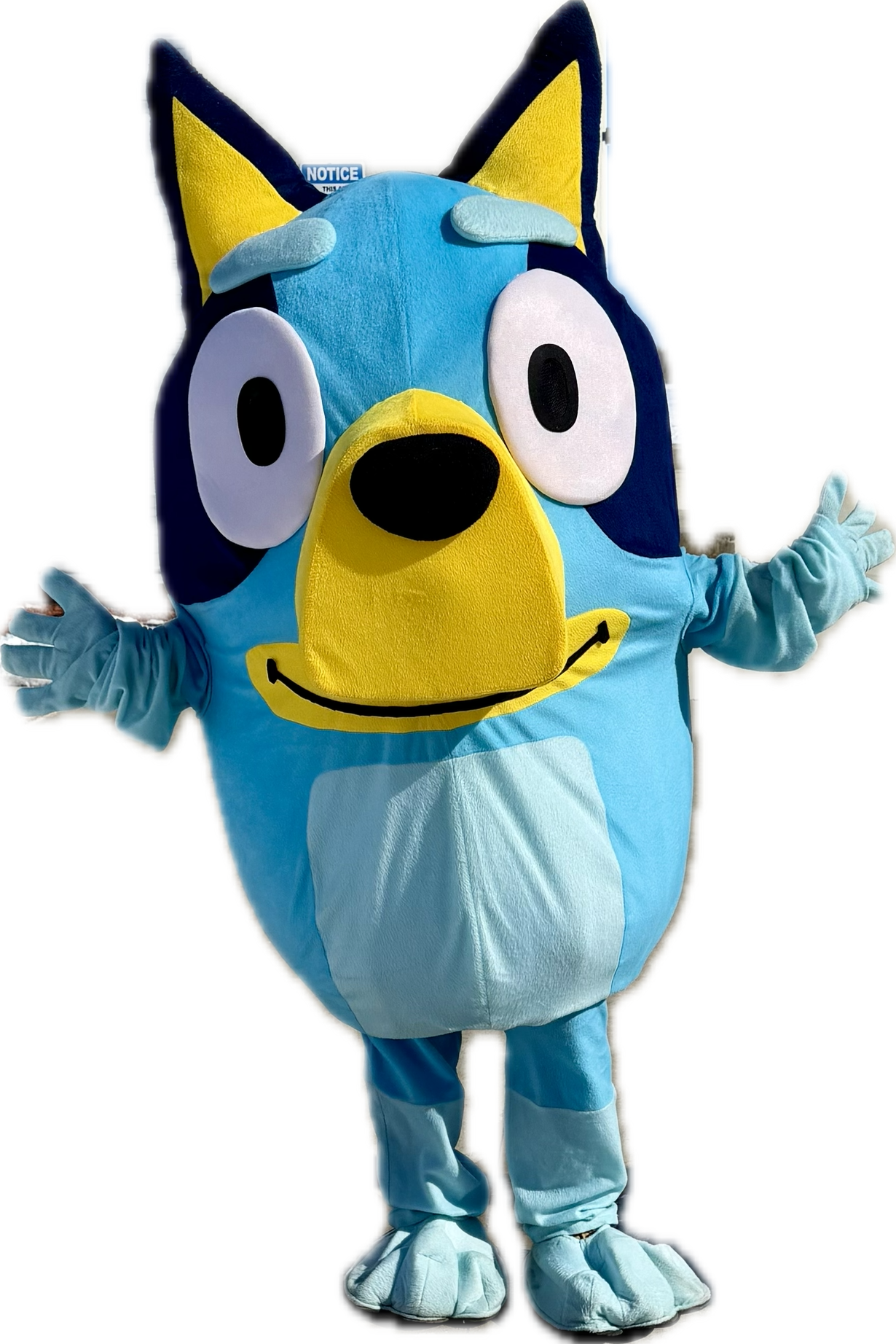 Bluey *Mascot