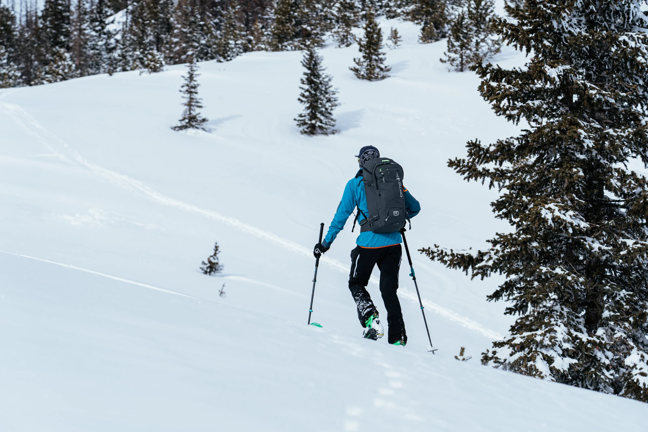 Person snowshoeing in a snowy forested area