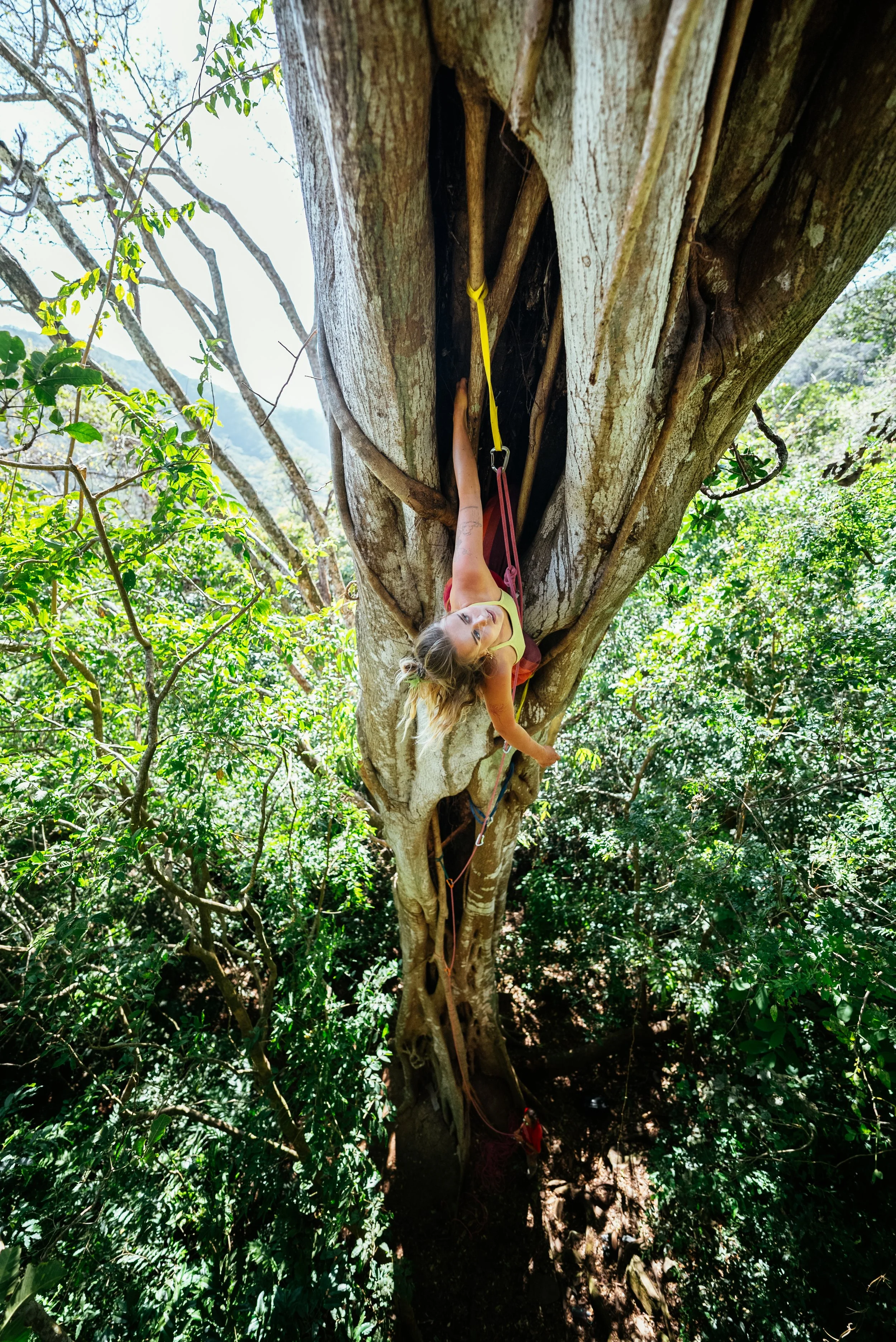 women climbing a strangler fig tree in costa rica