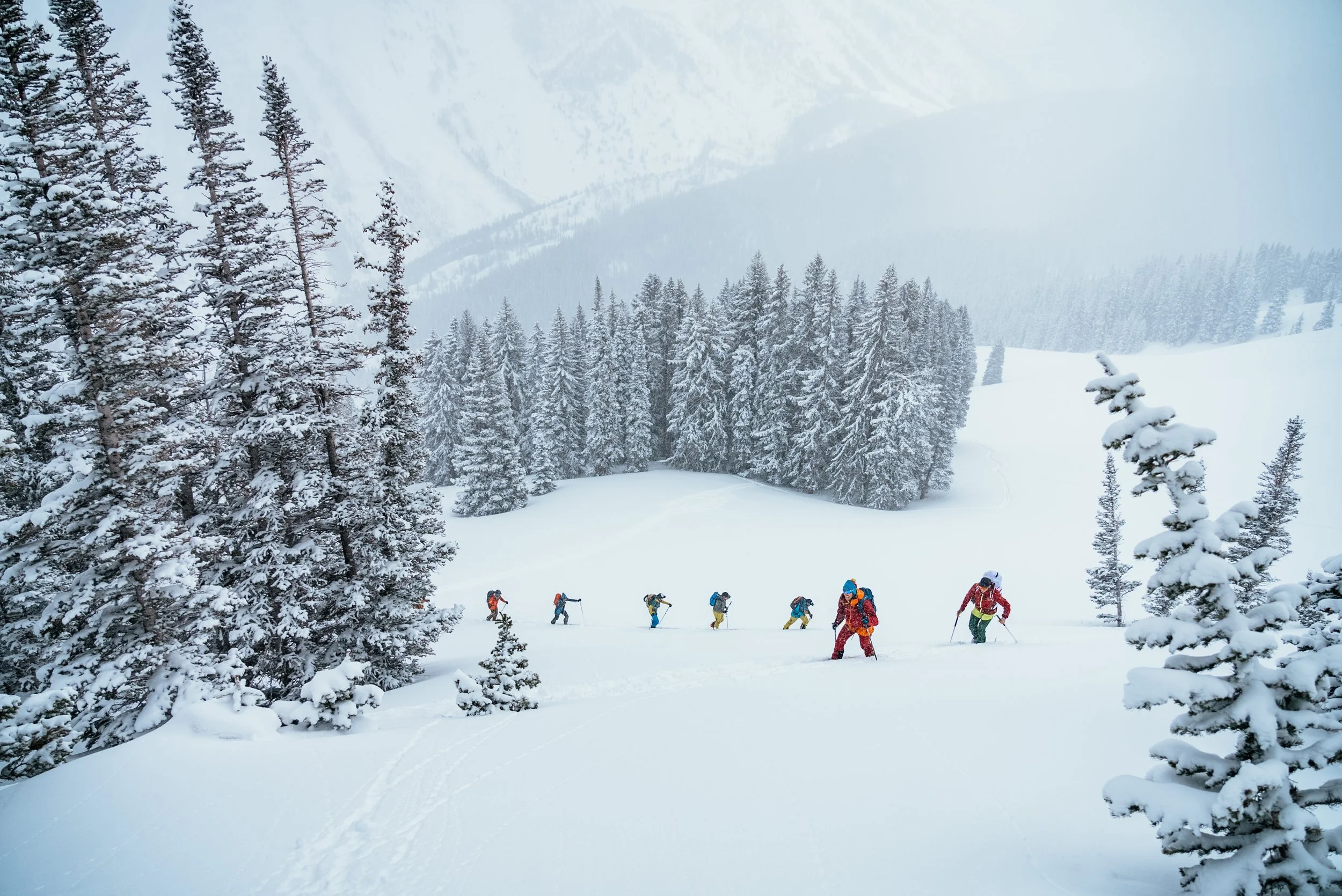 group skiing