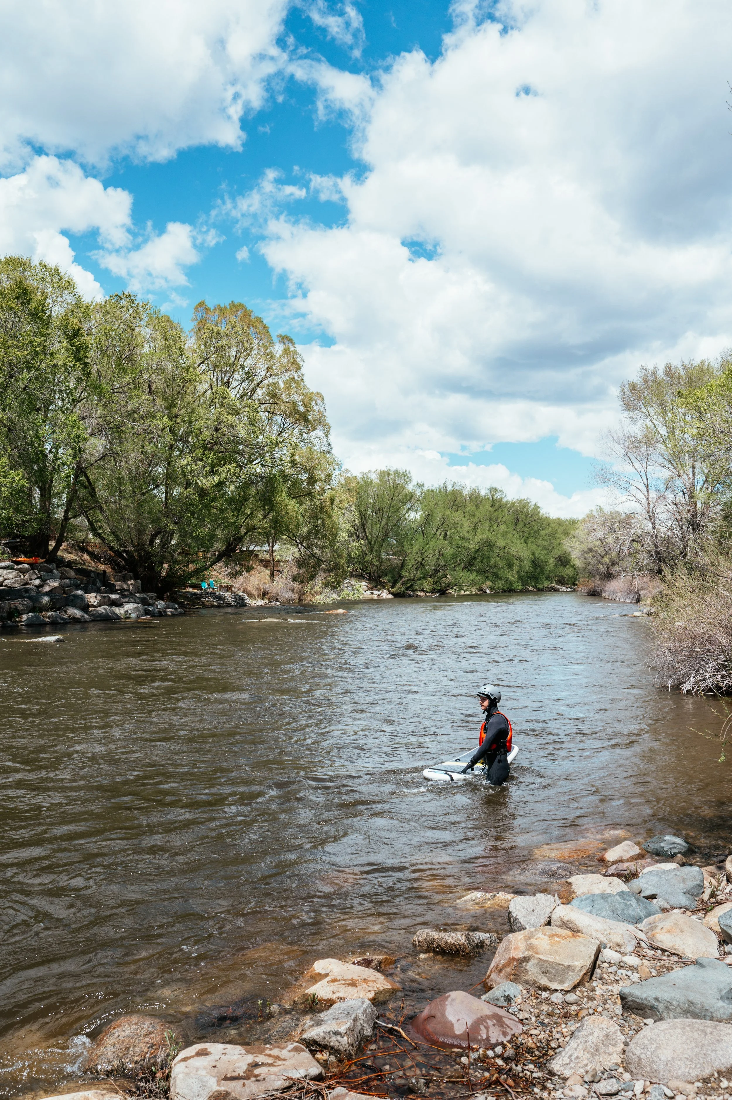 Roo wading in river in Colorado