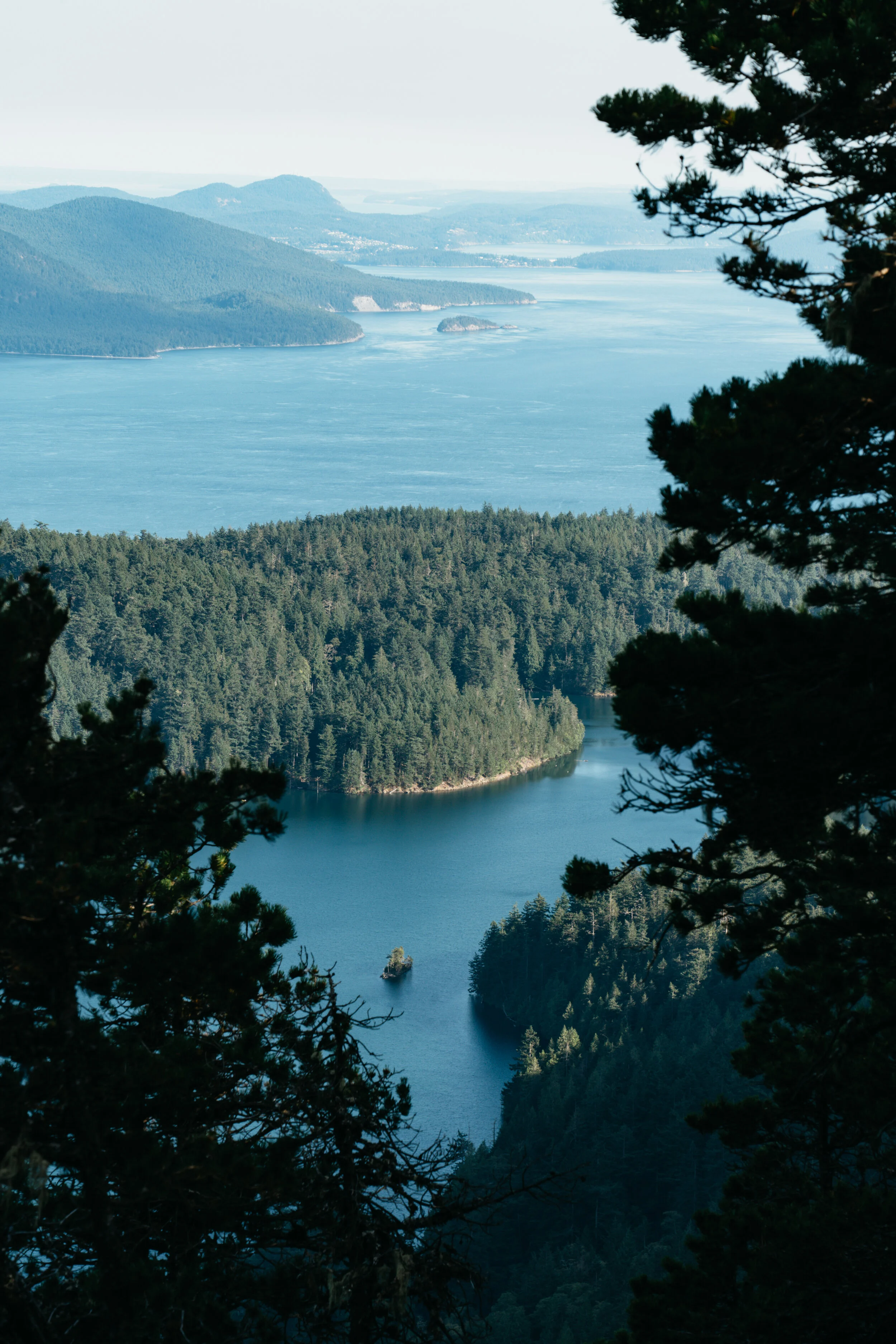 Aerial view of a large body of water surrounded by forested islands and mountains, with trees in the foreground.