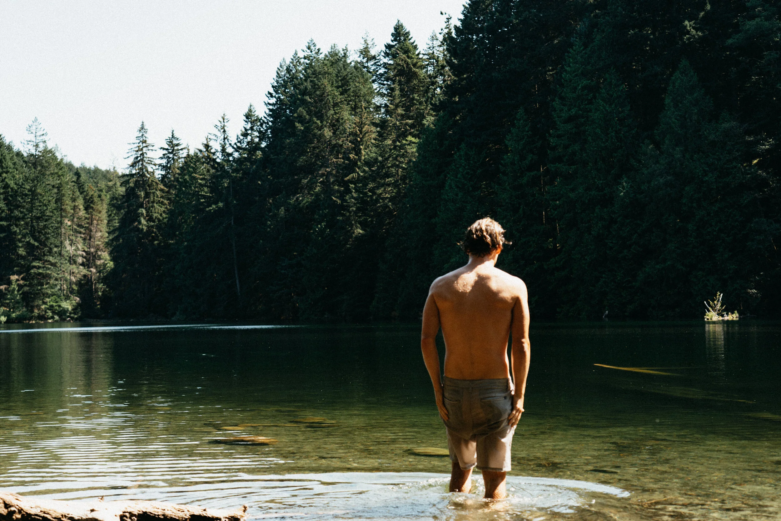 A young man with curly hair is standing in a calm lake, facing away from the camera, surrounded by a dense forest of tall evergreen trees on a sunny day.