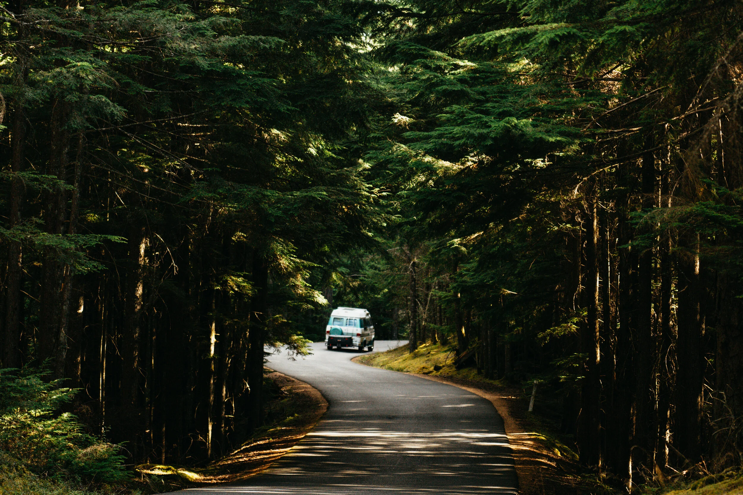 A winding forested road with tall, green trees on both sides and a white vehicle driving away in the distance.
