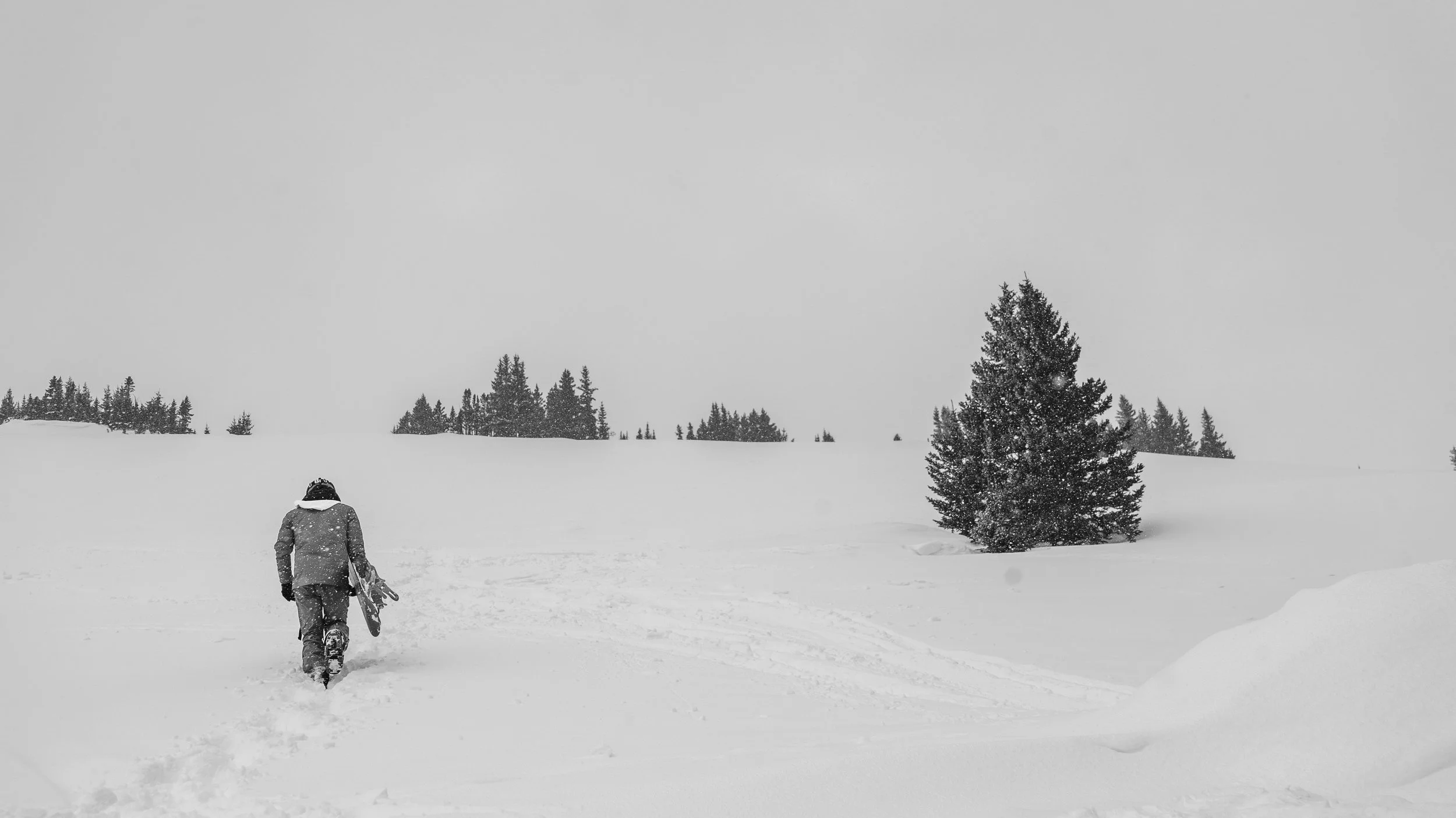 A person walking through a snow-covered landscape carrying a snowboard, with trees and a winter sky in the background.