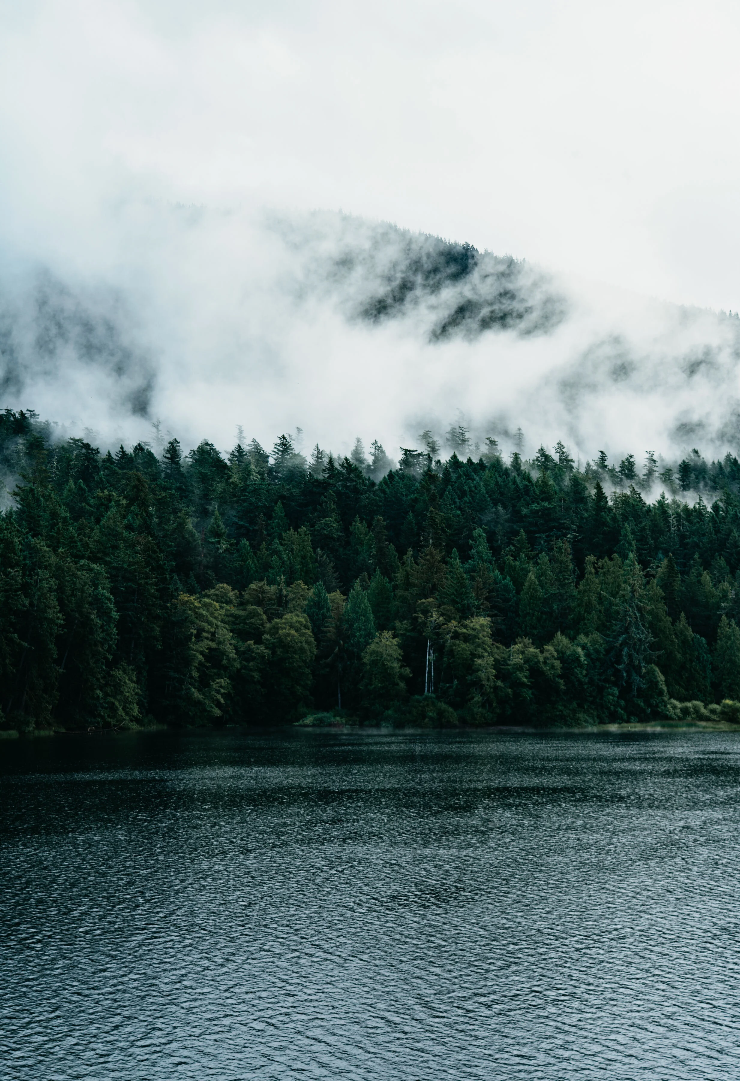 A serene landscape of a lake with a dense forest of pine trees on the shoreline, surrounded by misty mountains covered in clouds.